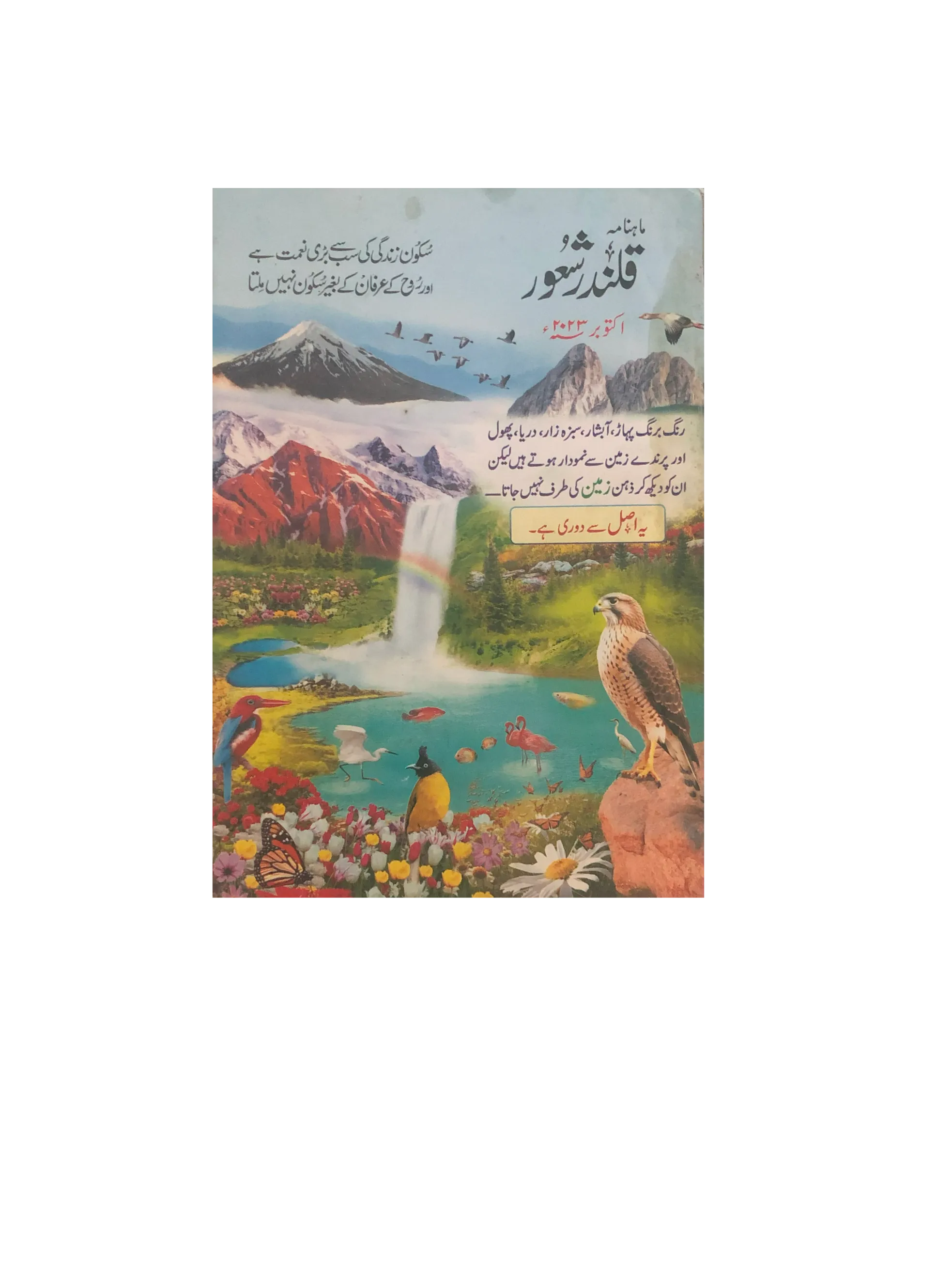 94 Issues of Monthly Qalandar Shaoor, Karachi (2013-2024, Urdu)