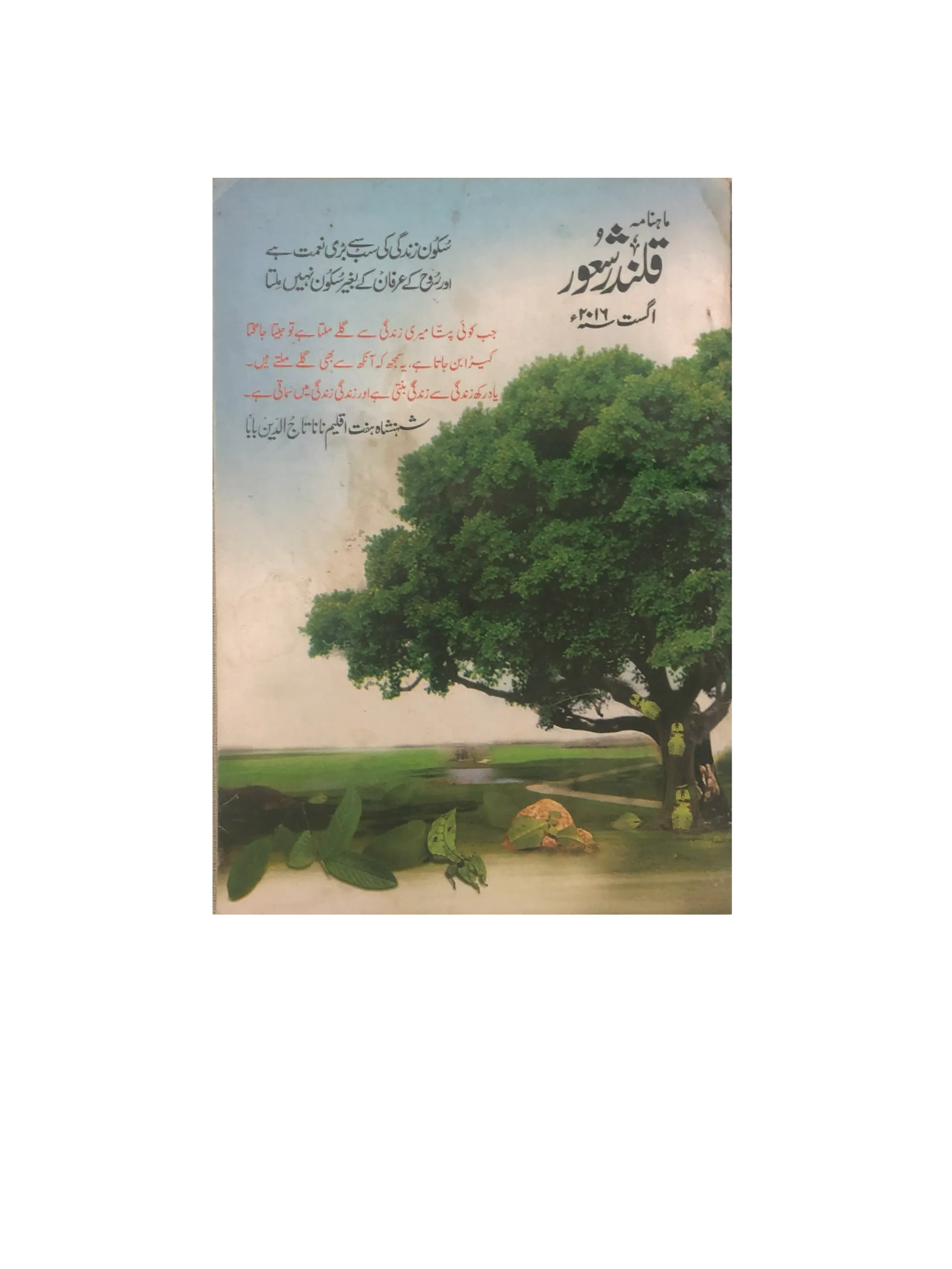 94 Issues of Monthly Qalandar Shaoor, Karachi (2013-2024, Urdu)