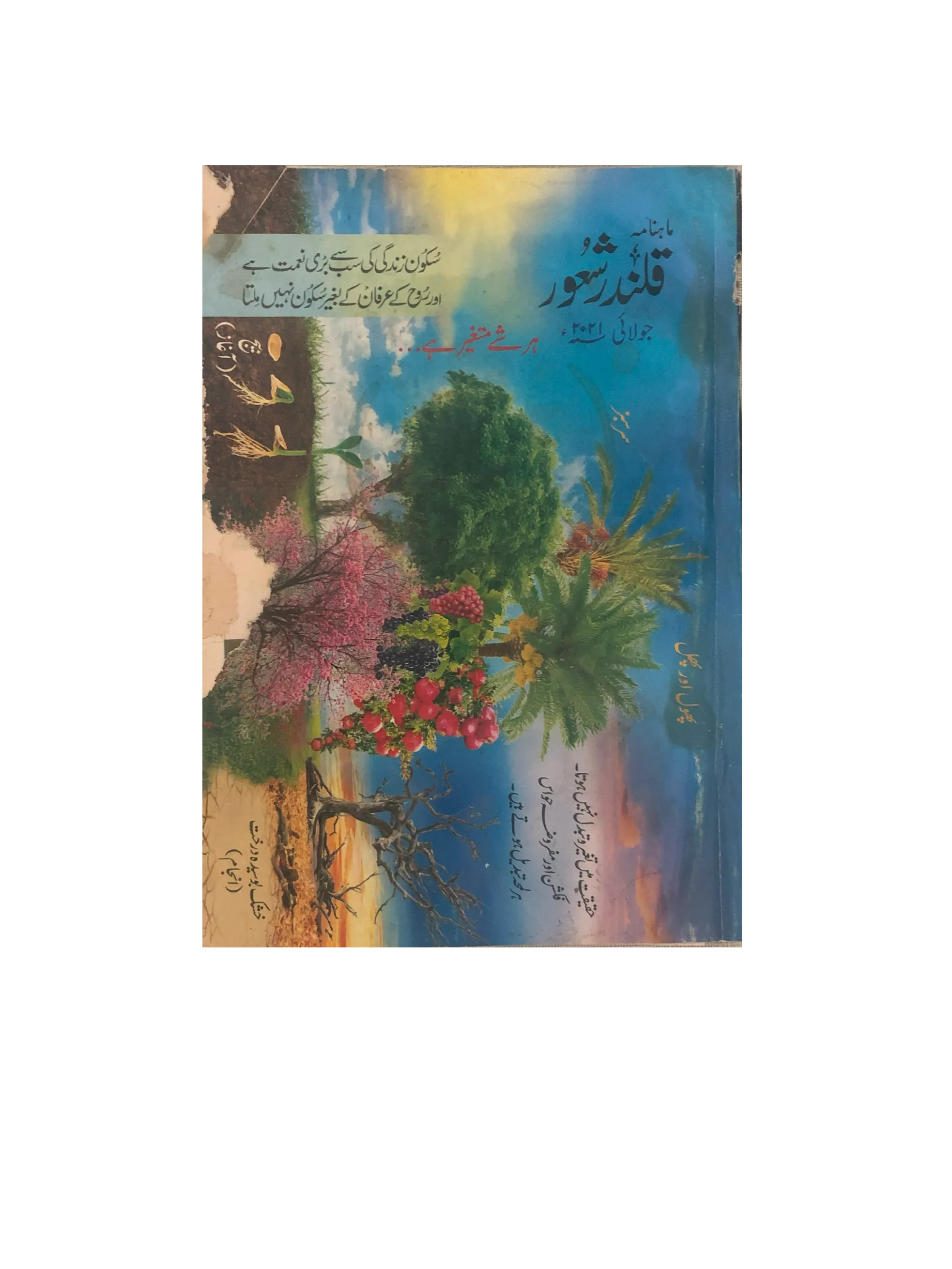 94 Issues of Monthly Qalandar Shaoor, Karachi (2013-2024, Urdu)