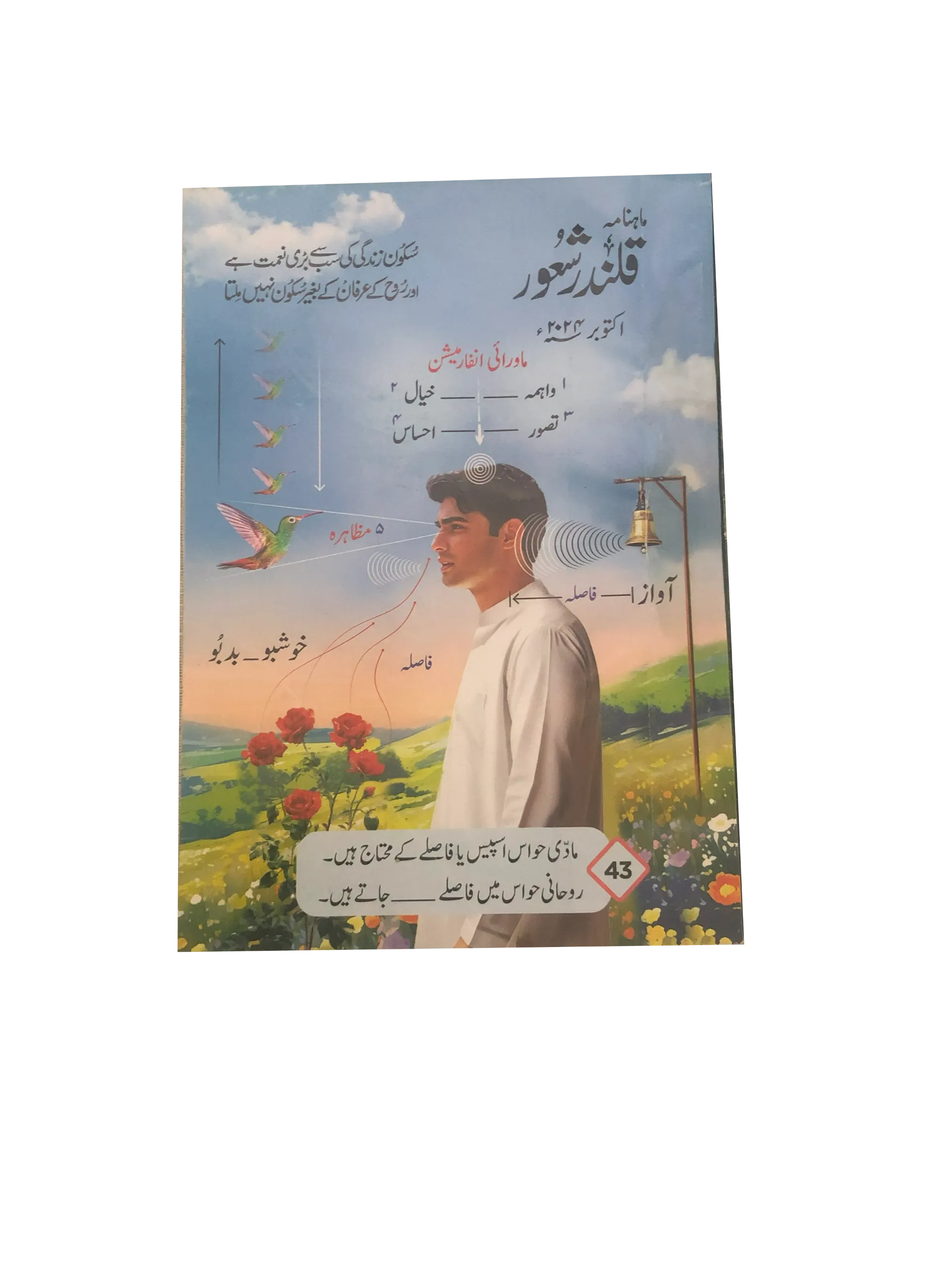 94 Issues of Monthly Qalandar Shaoor, Karachi (2013-2024, Urdu)