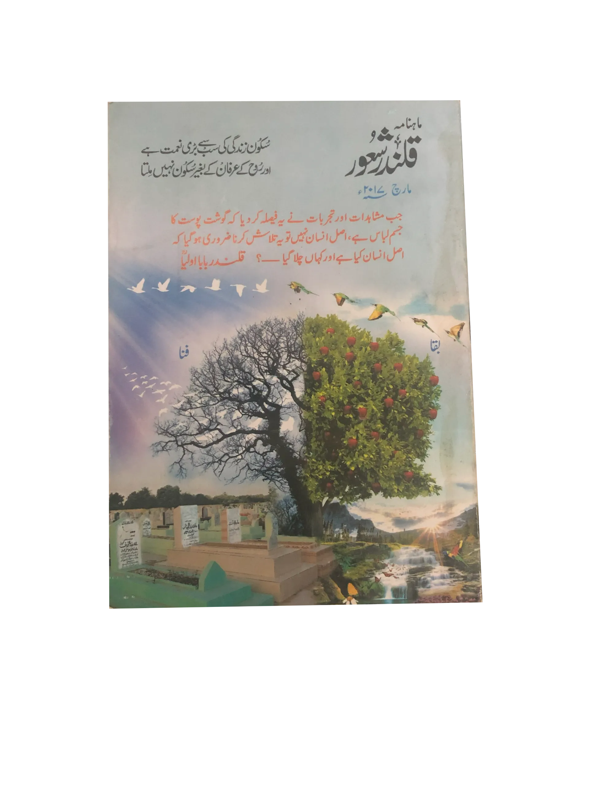 94 Issues of Monthly Qalandar Shaoor, Karachi (2013-2024, Urdu)