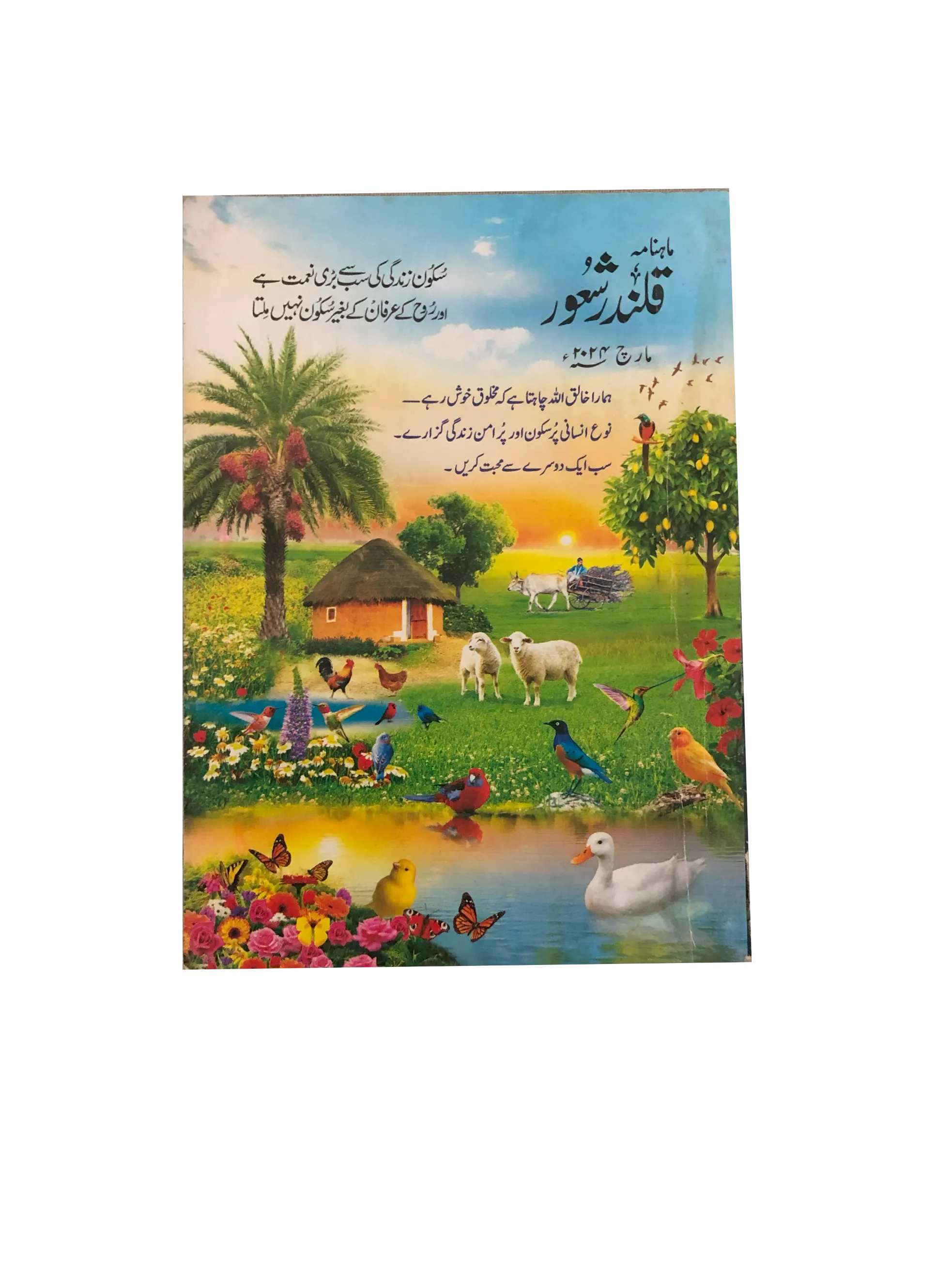 94 Issues of Monthly Qalandar Shaoor, Karachi (2013-2024, Urdu)