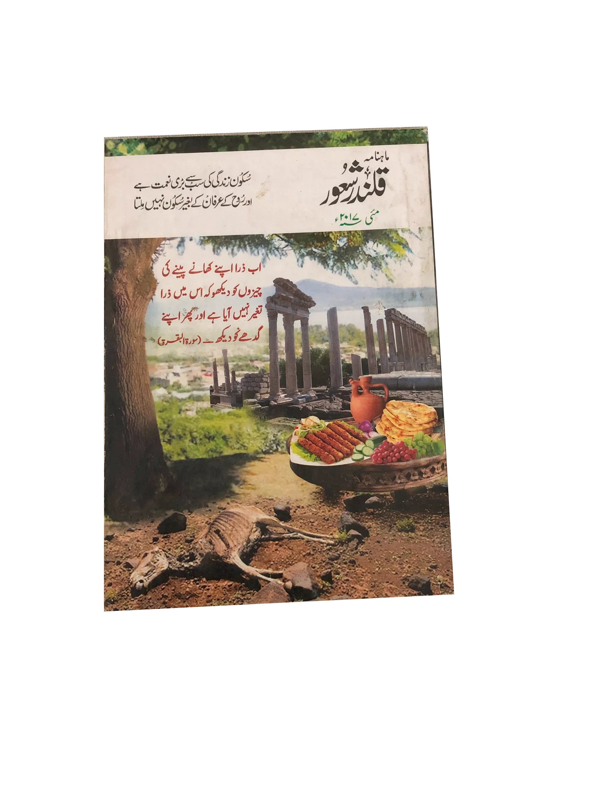 94 Issues of Monthly Qalandar Shaoor, Karachi (2013-2024, Urdu)