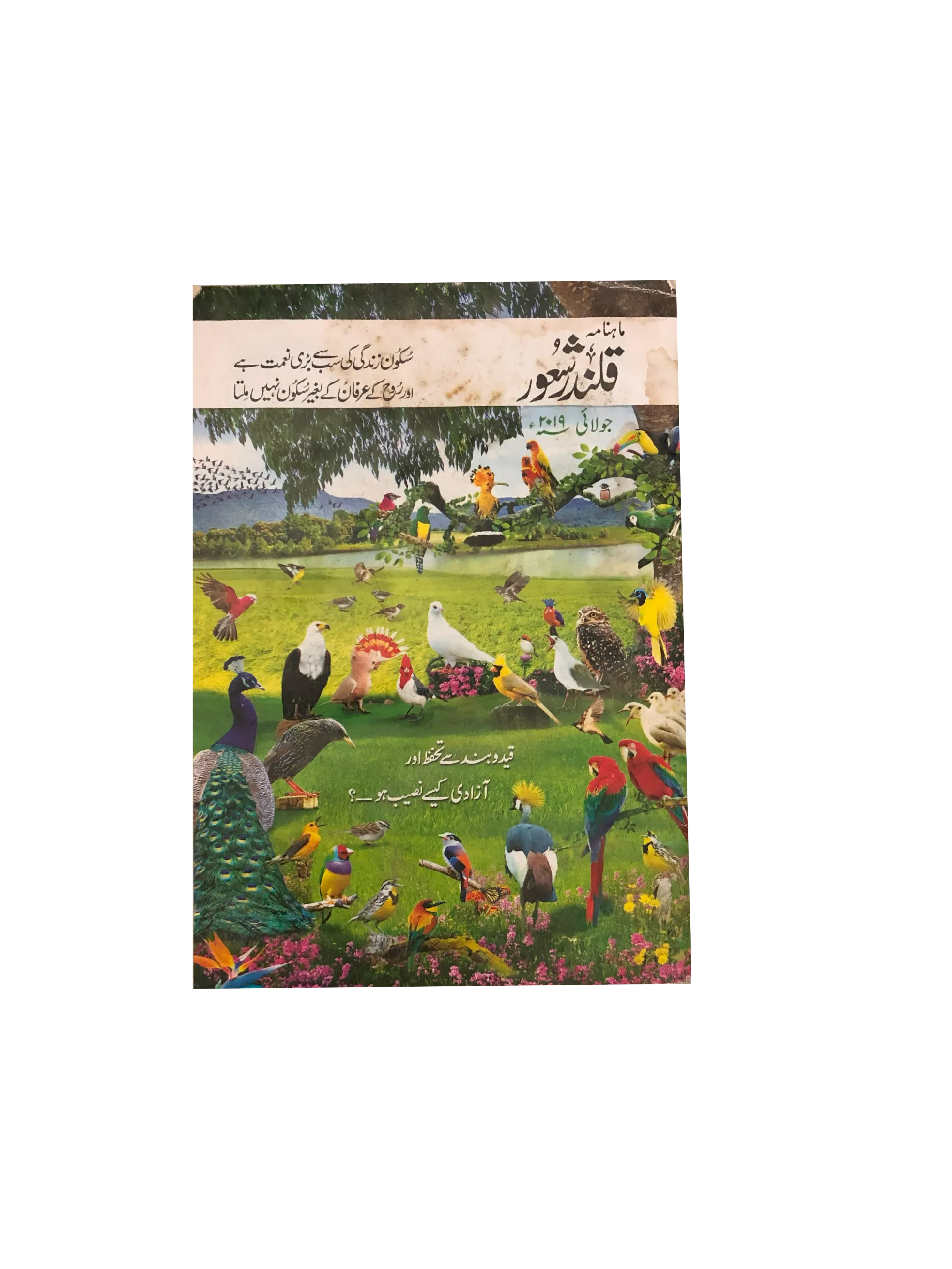 94 Issues of Monthly Qalandar Shaoor, Karachi (2013-2024, Urdu)