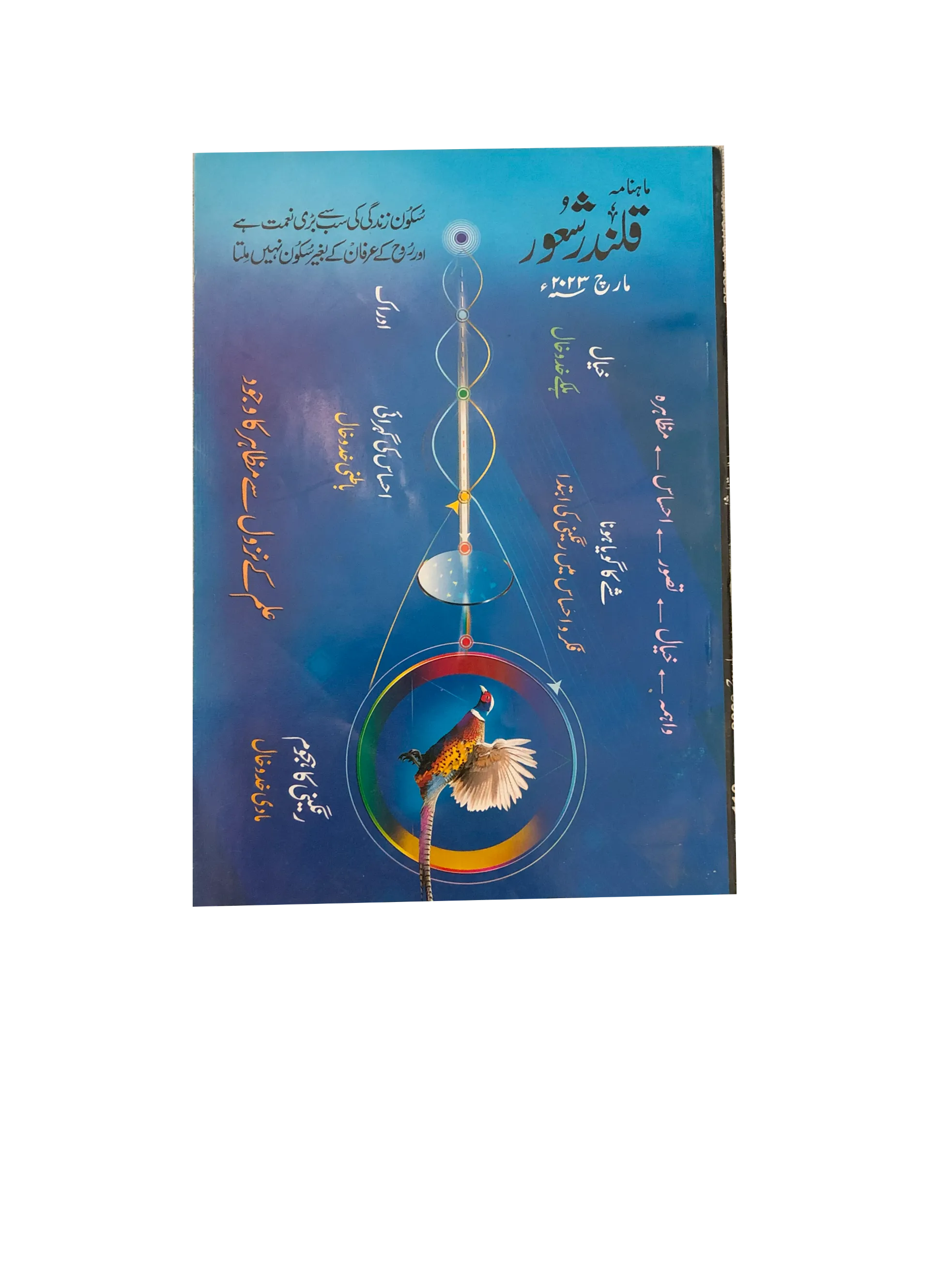 94 Issues of Monthly Qalandar Shaoor, Karachi (2013-2024, Urdu)