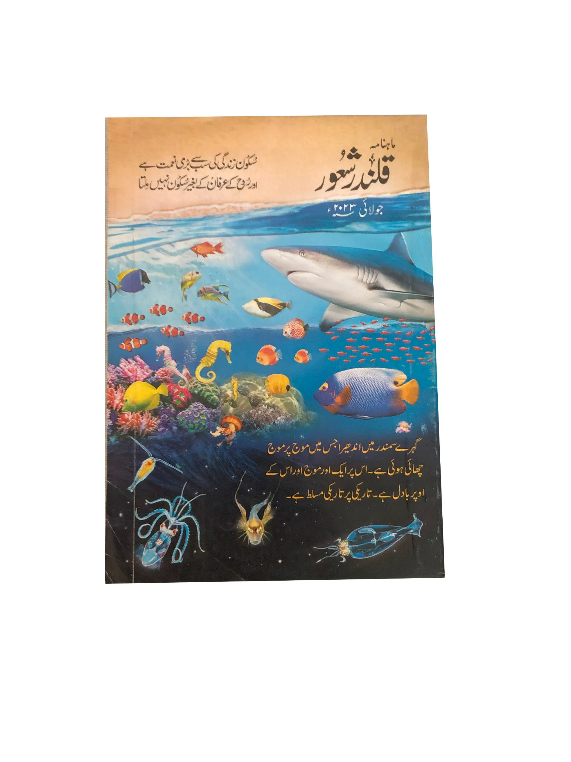 94 Issues of Monthly Qalandar Shaoor, Karachi (2013-2024, Urdu)