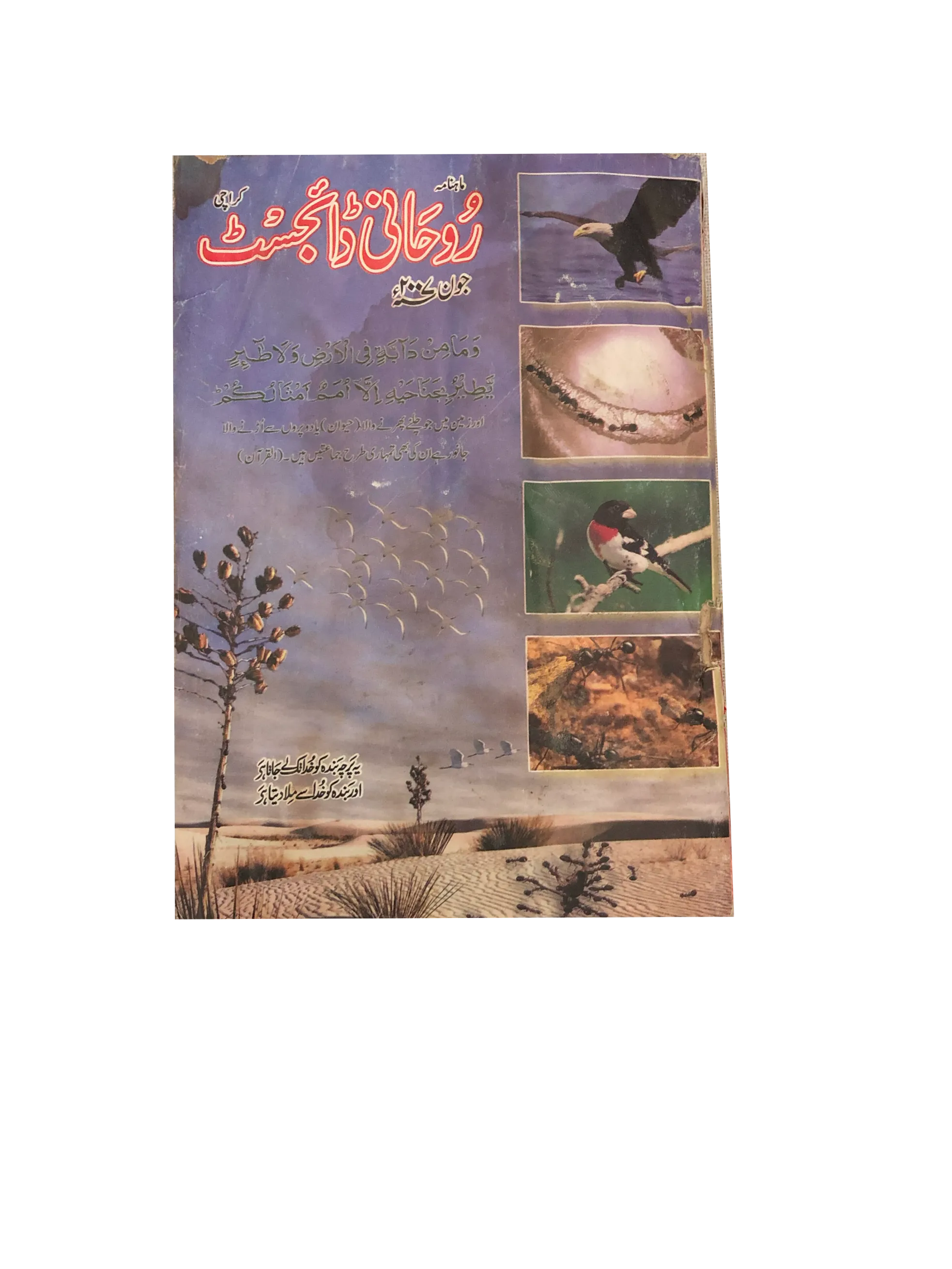 58 Issues of Monthly Roohani Digest, Karachi (1990-2023, Urdu)