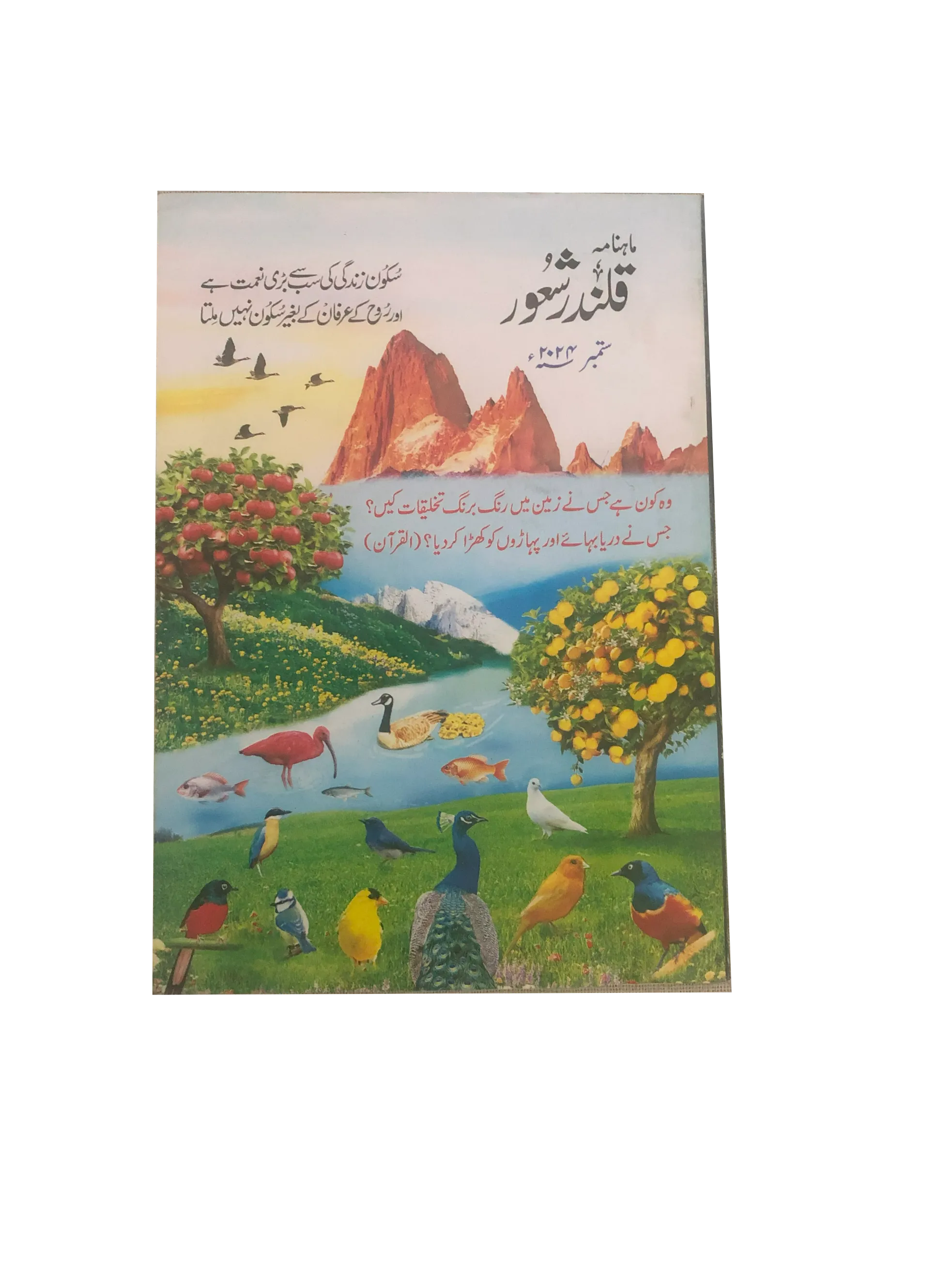 94 Issues of Monthly Qalandar Shaoor, Karachi (2013-2024, Urdu)