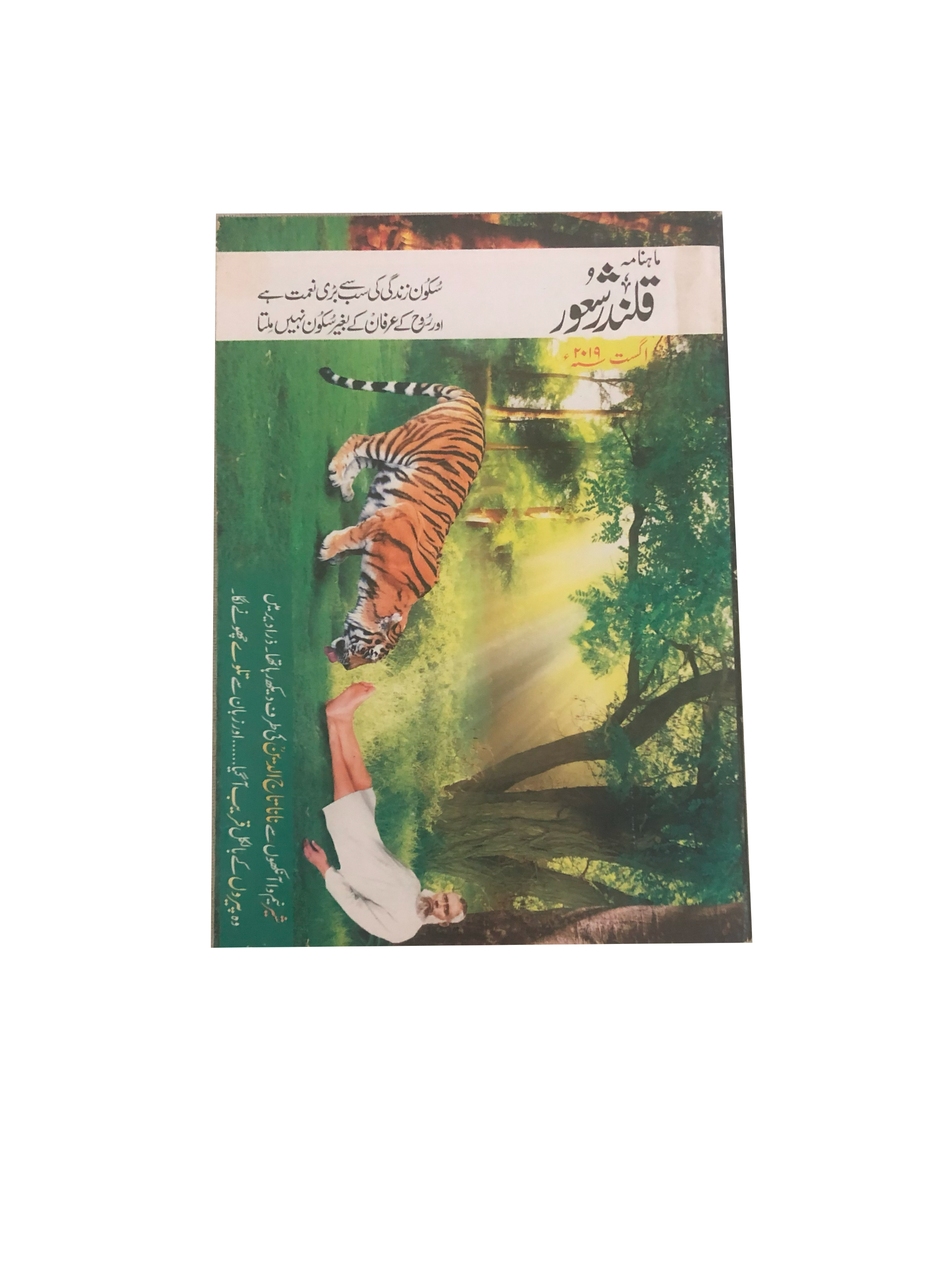 94 Issues of Monthly Qalandar Shaoor, Karachi (2013-2024, Urdu)