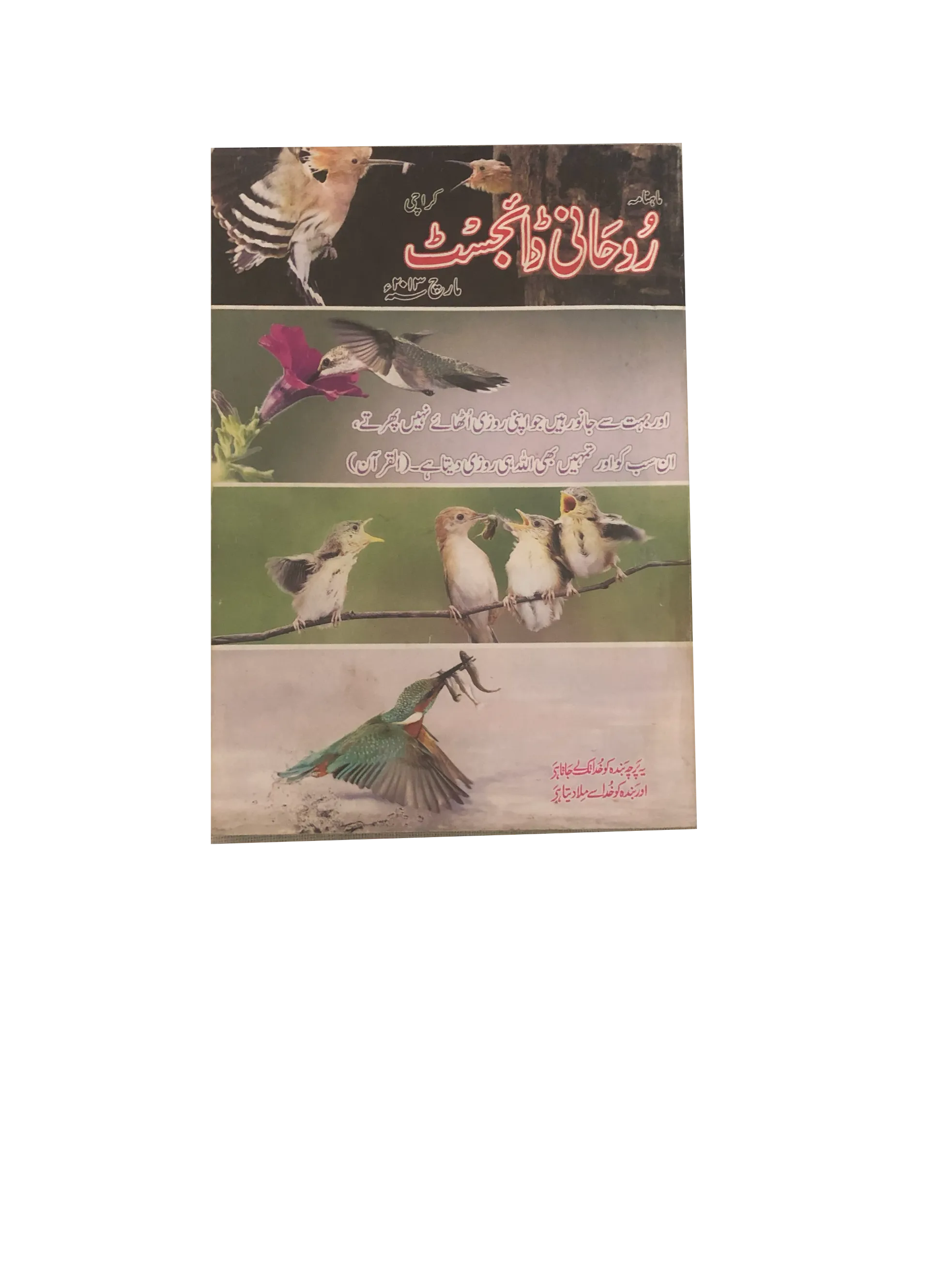 58 Issues of Monthly Roohani Digest, Karachi (1990-2023, Urdu)