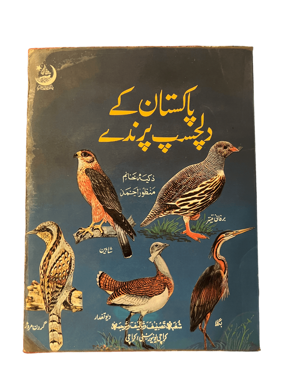 Pakistan's Interesting Birds - KHAJISTAN™