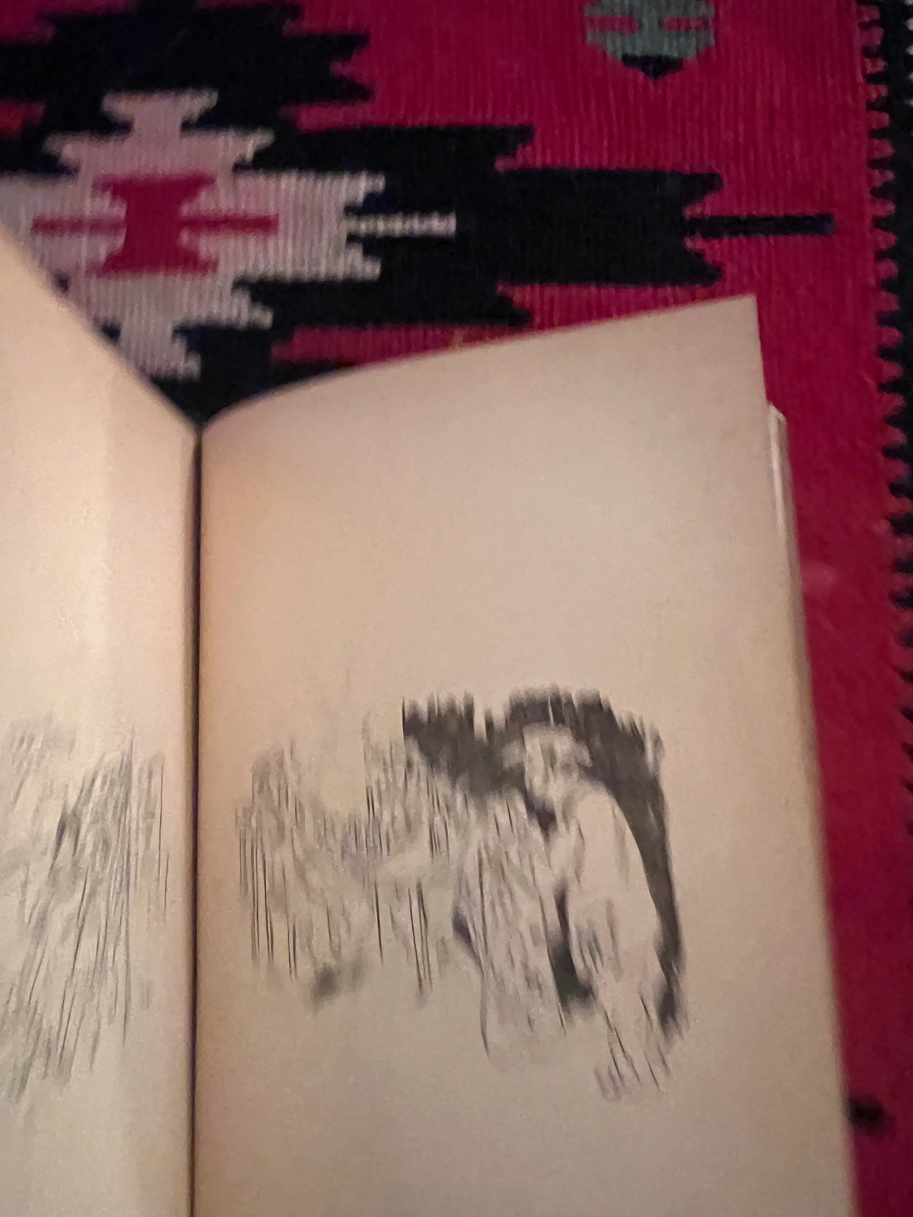 على اليمين وعلى اليسار: كتاب الرسوم الكاريكاتورية السياسية العبرية بقلم يوسف باس، تل أبيب، 1942