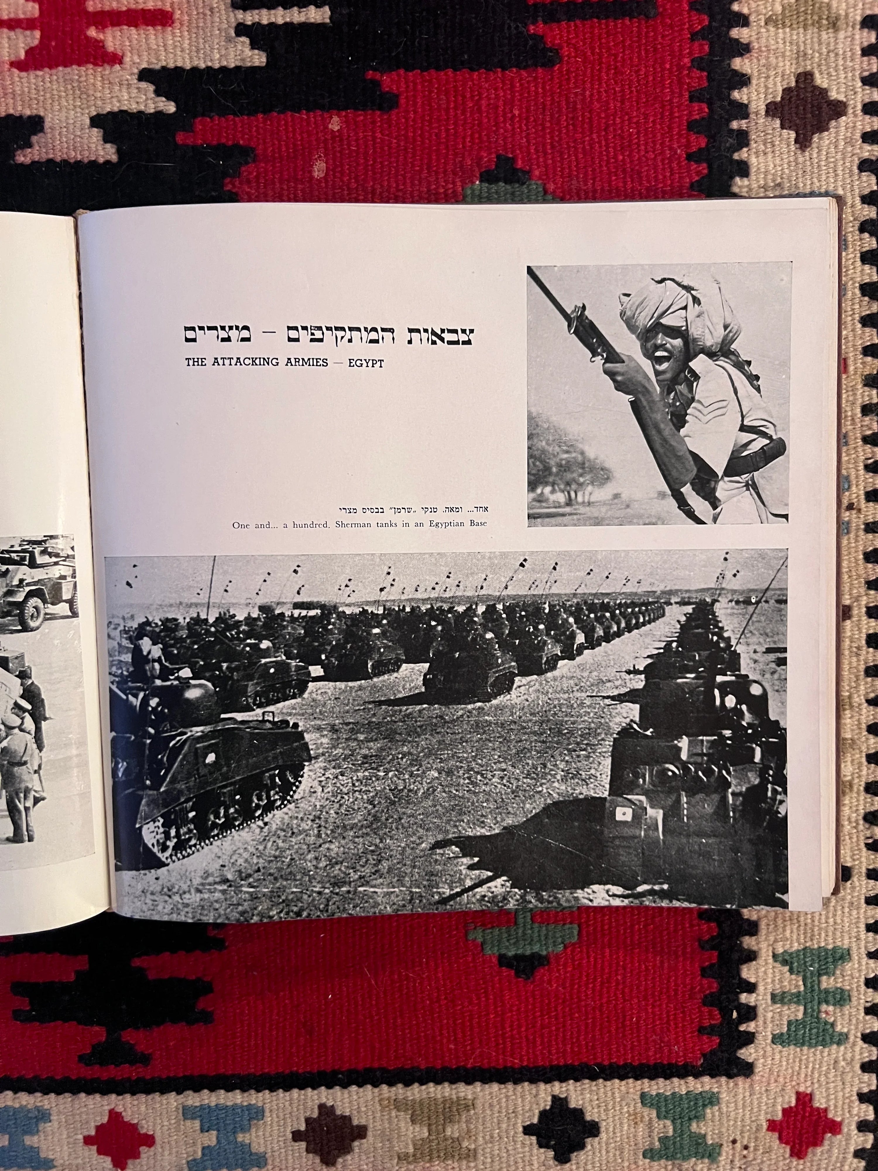 الحرب العربية ضد إسرائيل: كتاب الدعاية الإسرائيلية في زمن الحرب عن حرب فلسطين 1948