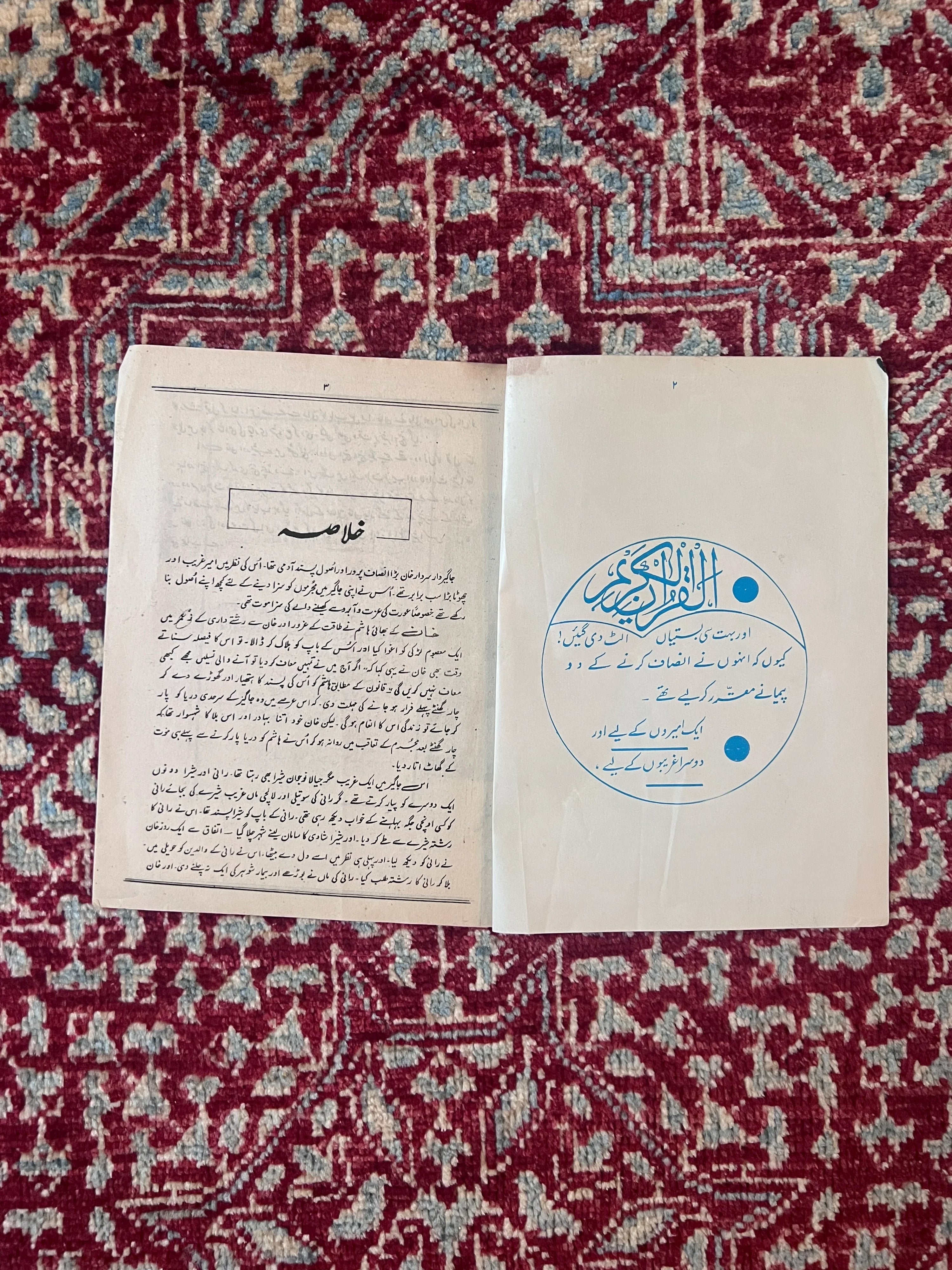 Original 1983 Baghi Sher Punjabi Film Booklet