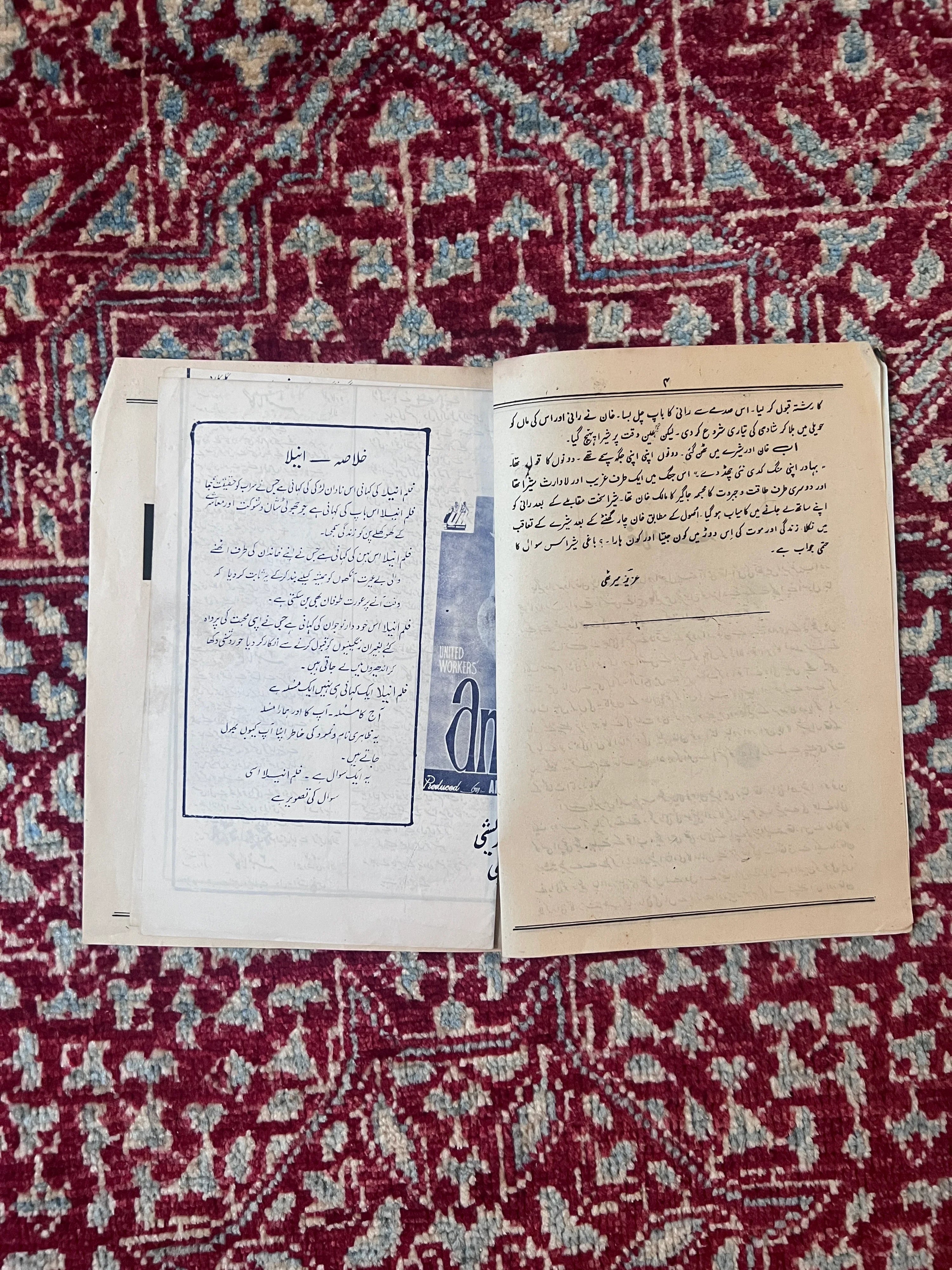 Original 1983 Baghi Sher Punjabi Film Booklet