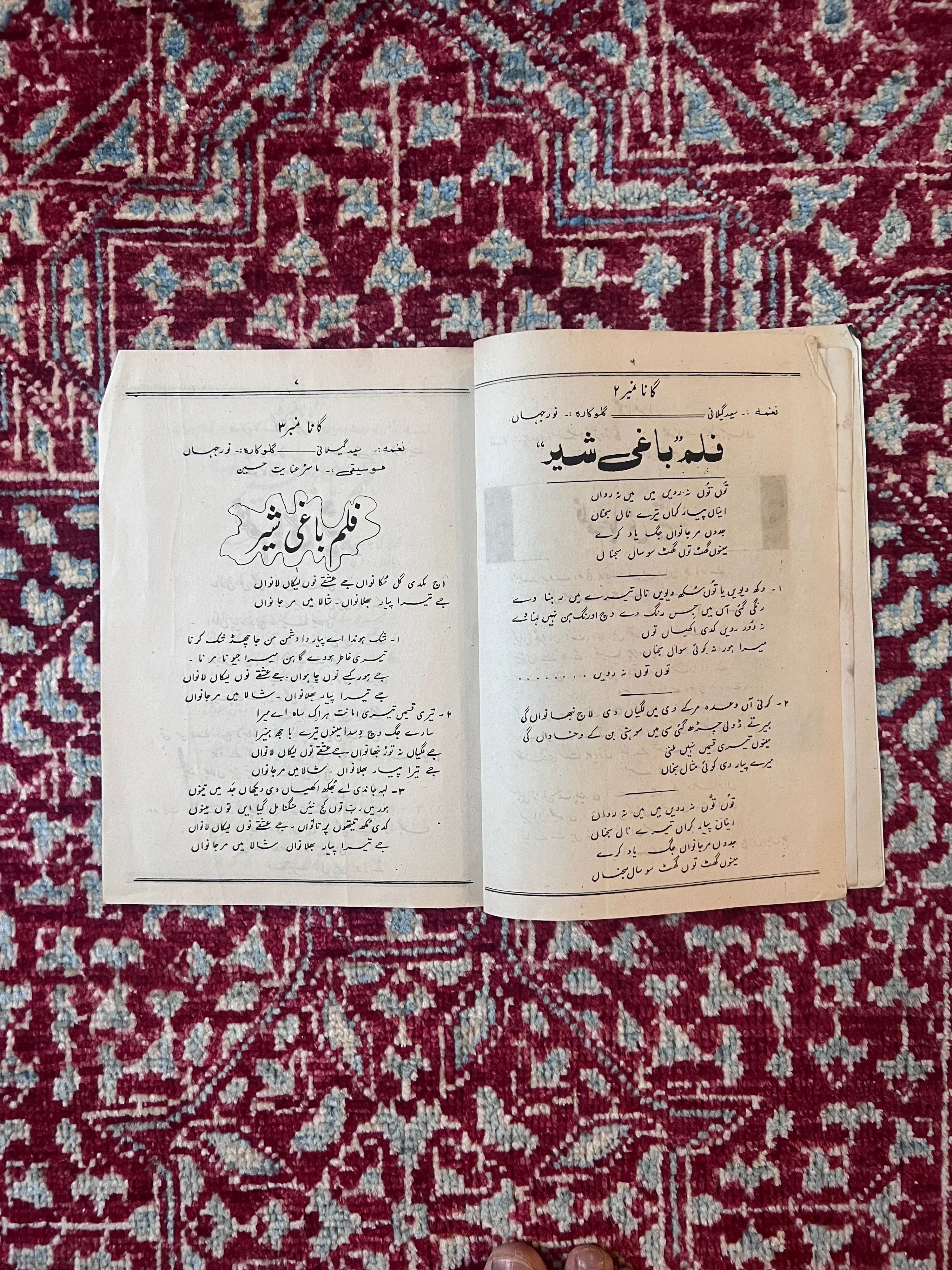 Original 1983 Baghi Sher Punjabi Film Booklet