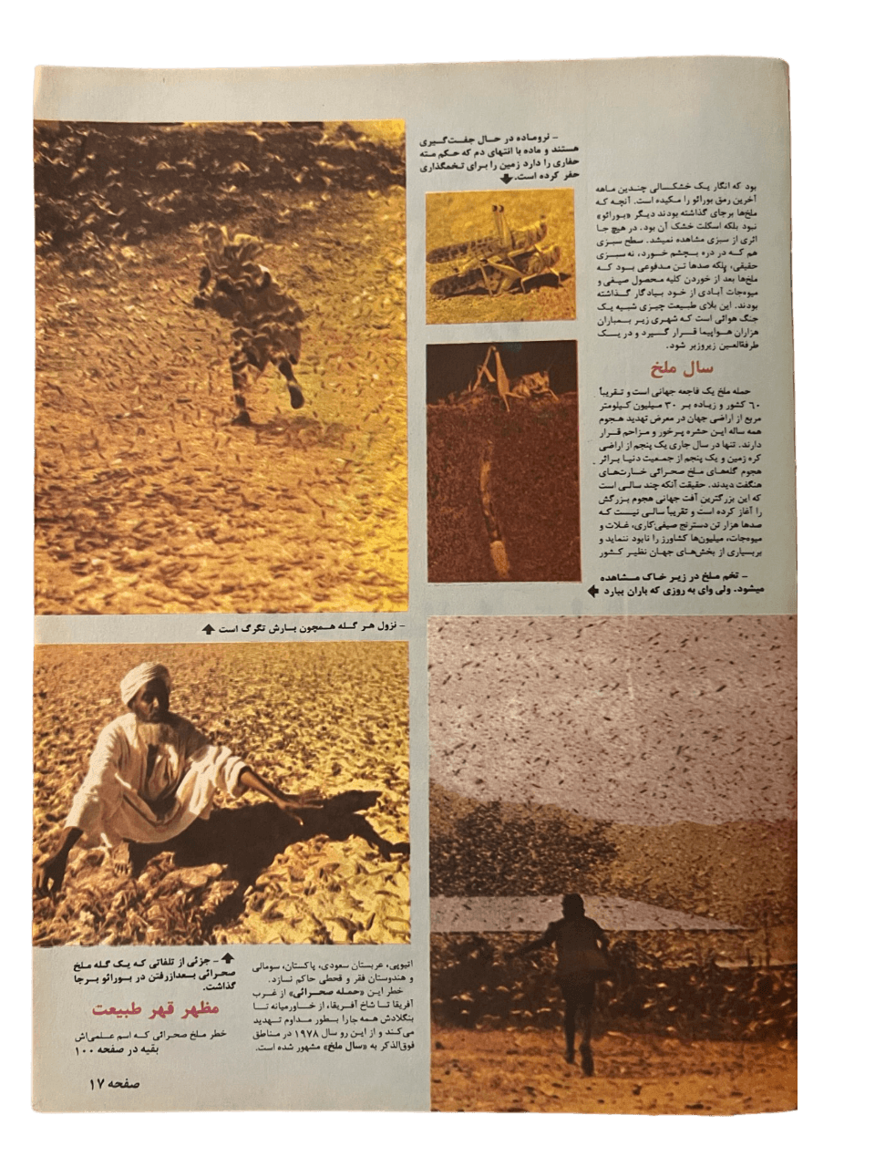 1967-1978 Zan-e-Rooz | 164 Issues - KHAJISTAN™