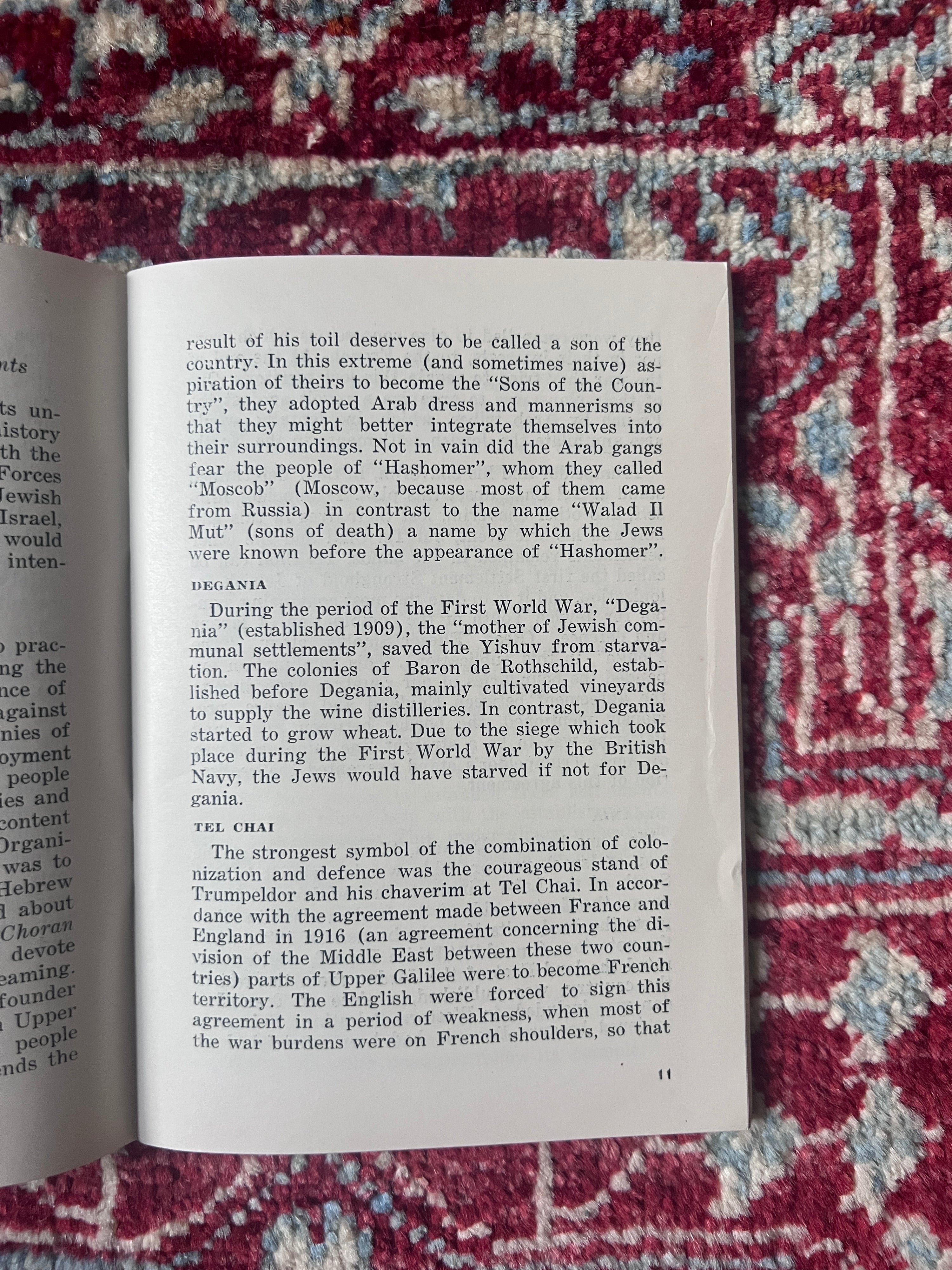 جوانان برای پایگاه‌های استقرار، کتابچه تبلیغاتی جوانان صهیونیست، اسرائیل، ۱۹۵۰