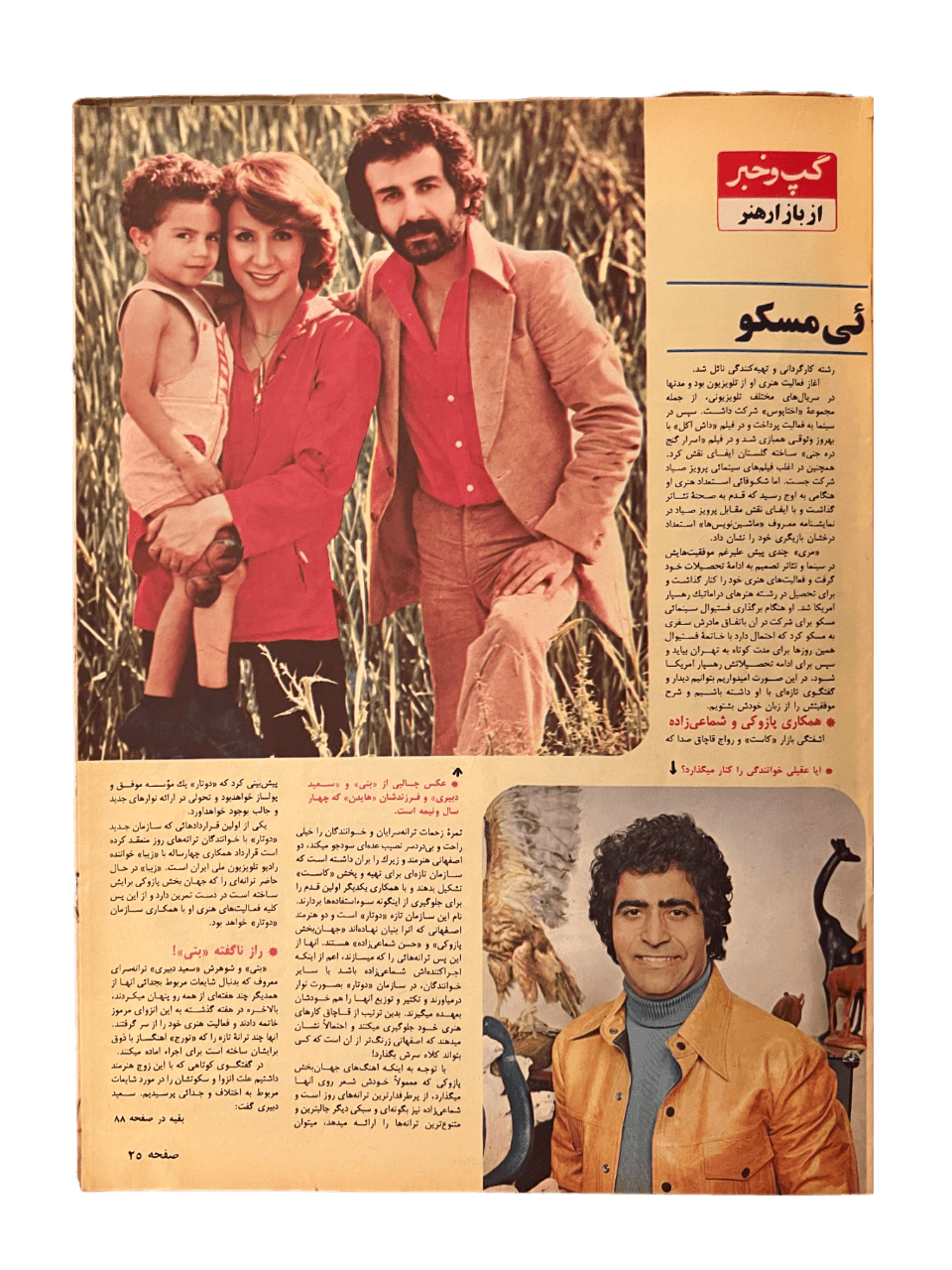 1967-1978 Zan-e-Rooz | 164 Issues - KHAJISTAN™