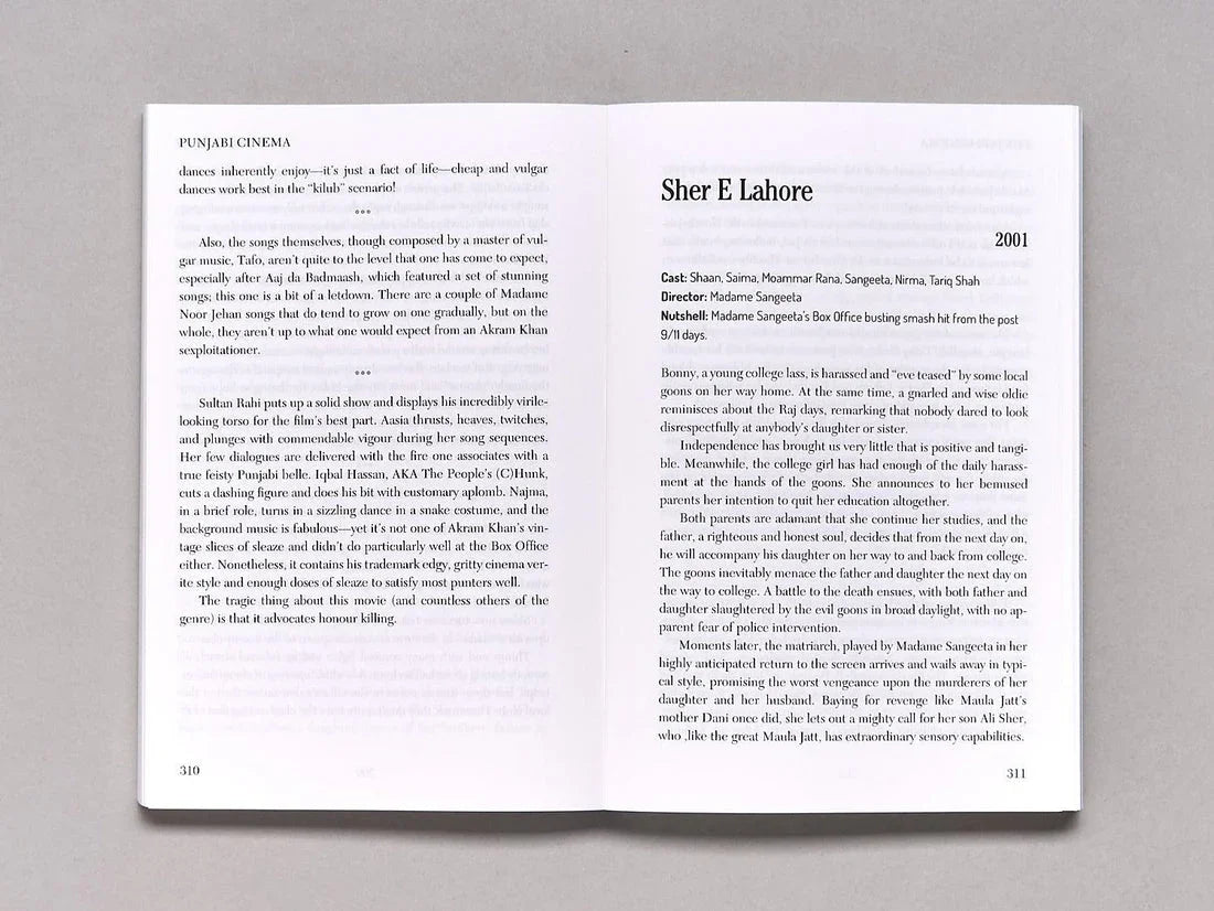 Loose Cannons and Dangerous Curves: An Unholy Bible of Pakistani Popular Cinema