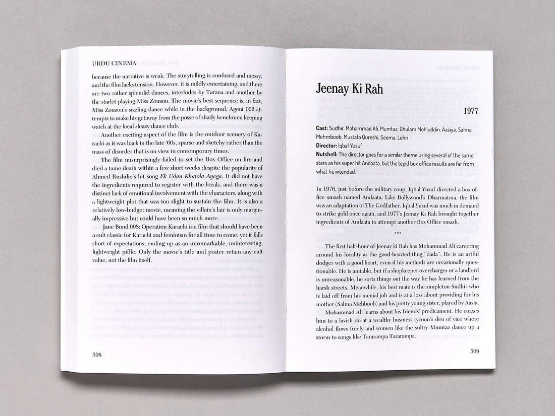 Loose Cannons and Dangerous Curves: An Unholy Bible of Pakistani Popular Cinema