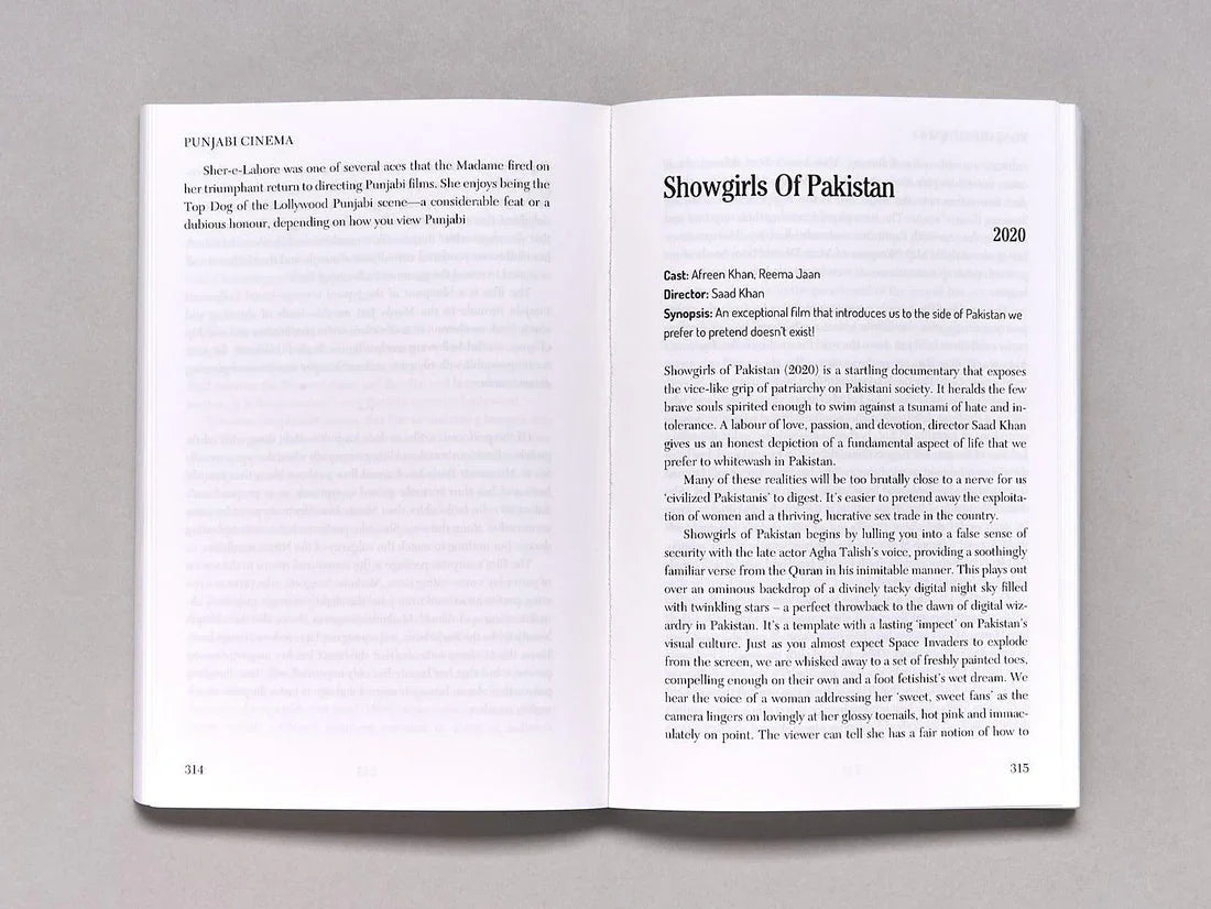 Loose Cannons and Dangerous Curves: An Unholy Bible of Pakistani Popular Cinema