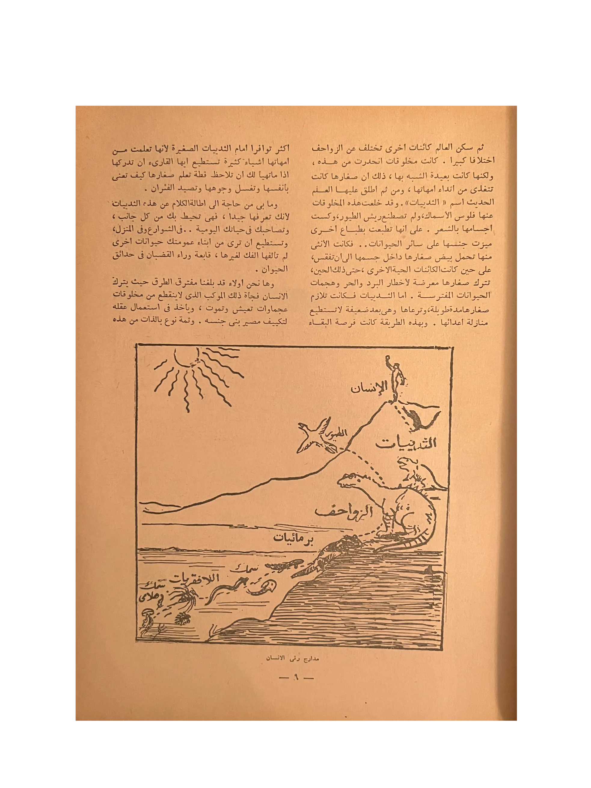 5 Issues of Kitab Al-Sha'ab (1959-60, Arabic)