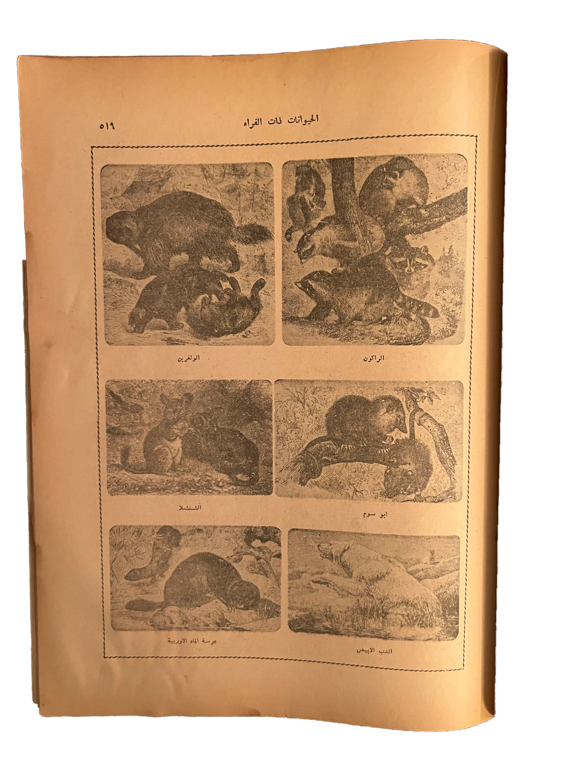 5 Issues of Kitab Al-Sha'ab (1959-60, Arabic)