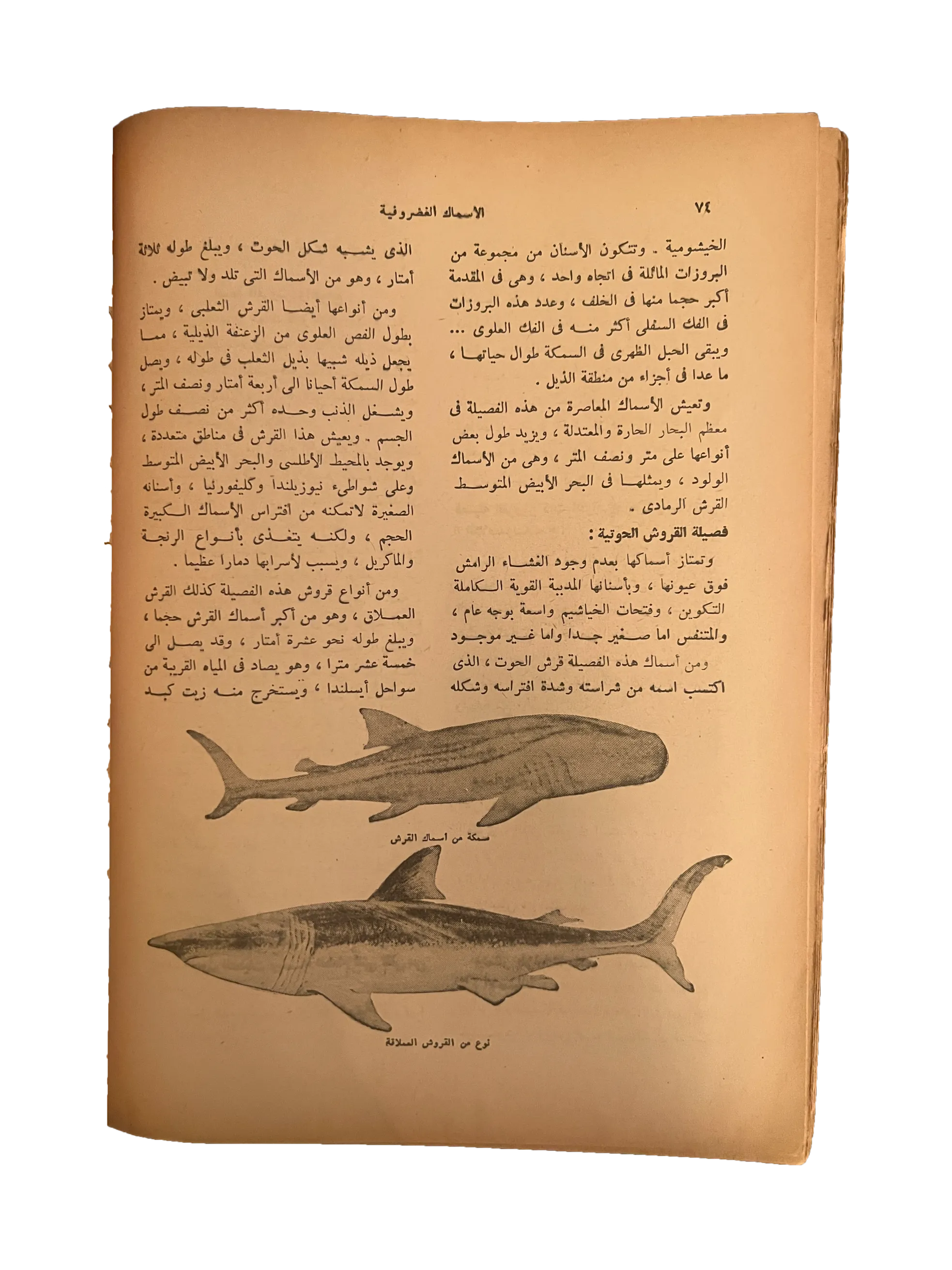 5 Issues of Kitab Al-Sha'ab (1959-60, Arabic)