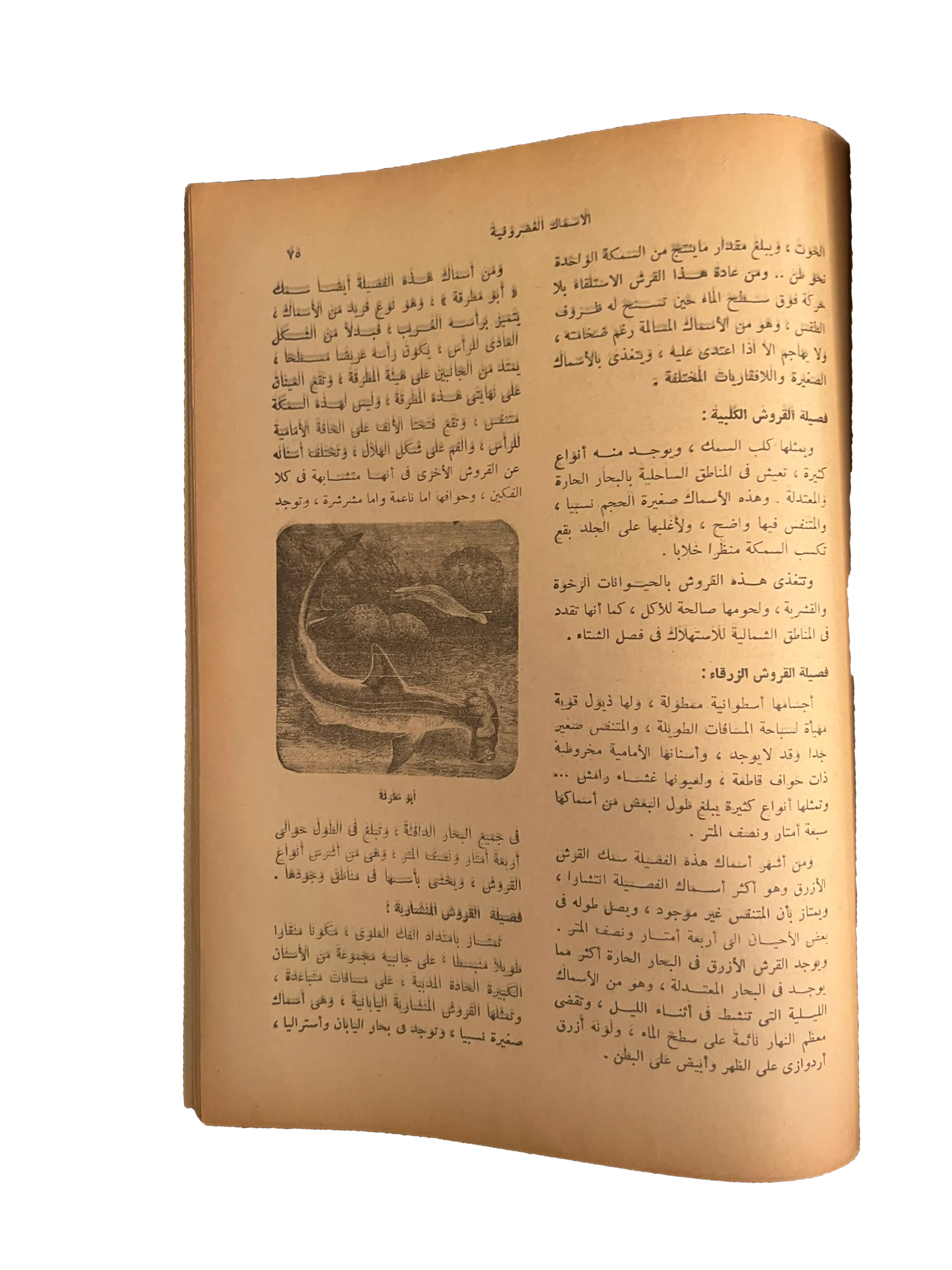 5 Issues of Kitab Al-Sha'ab (1959-60, Arabic)