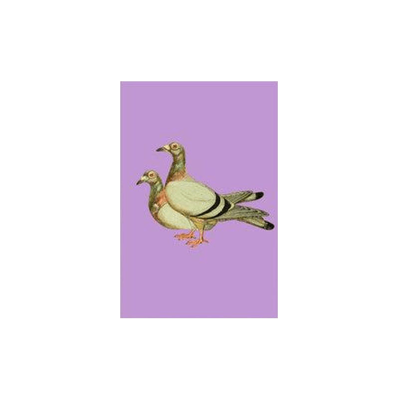 Pigeons Print - KHAJISTAN™