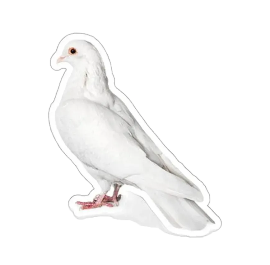 Meesna Pigeon Sticker