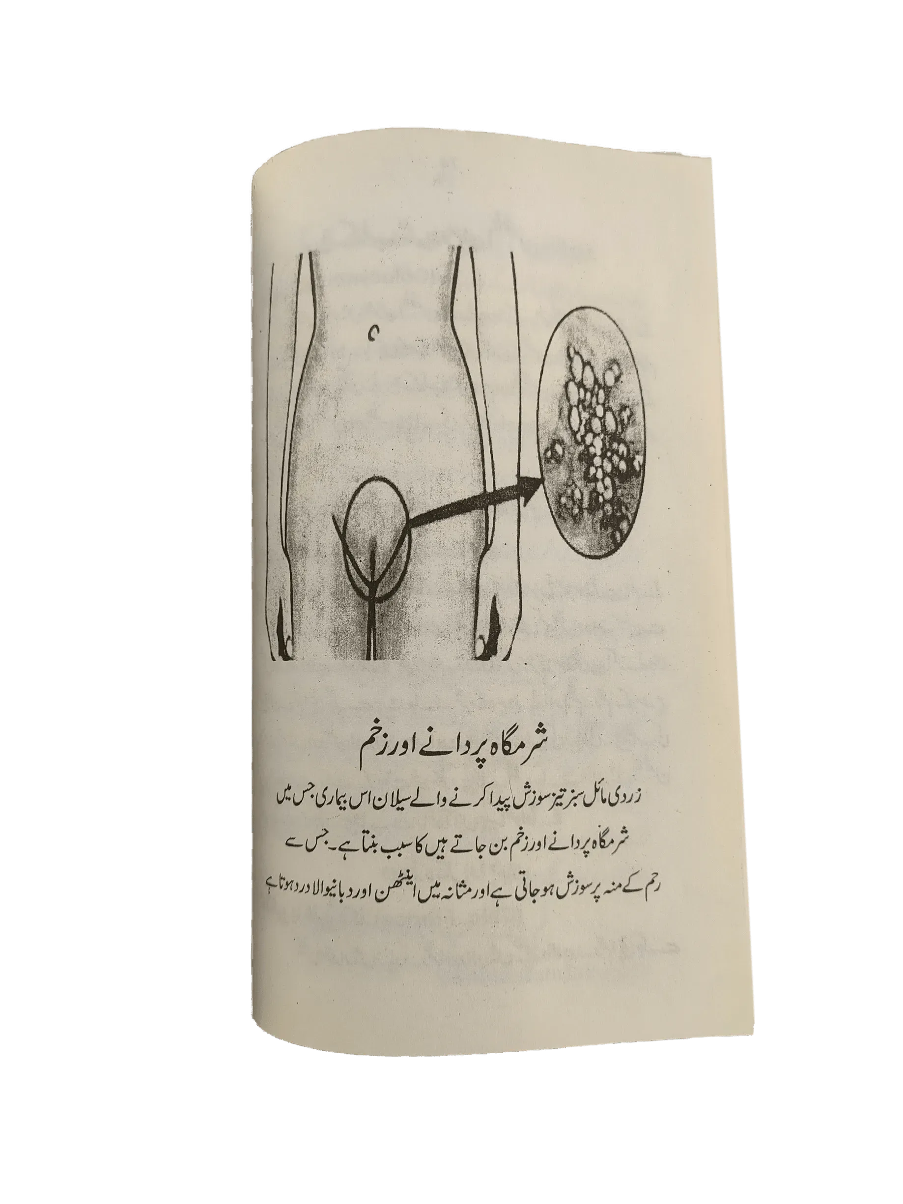 Zaporijjyada intim jinsiy aloqa Zaporijjyada intim jinsiy aloqa