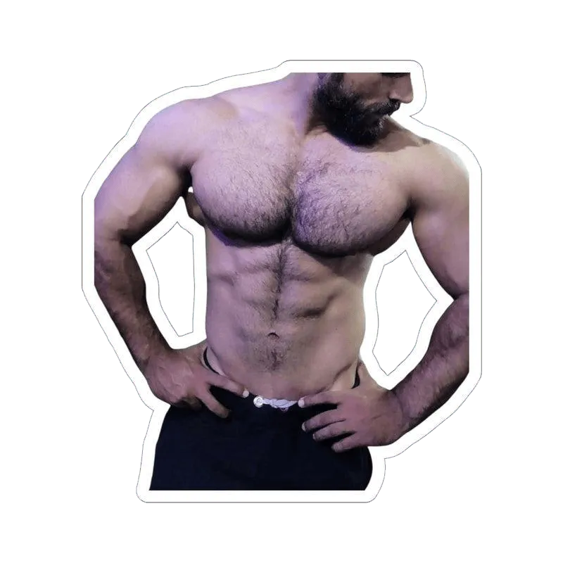 Chest Day Sticker - KHAJISTAN™