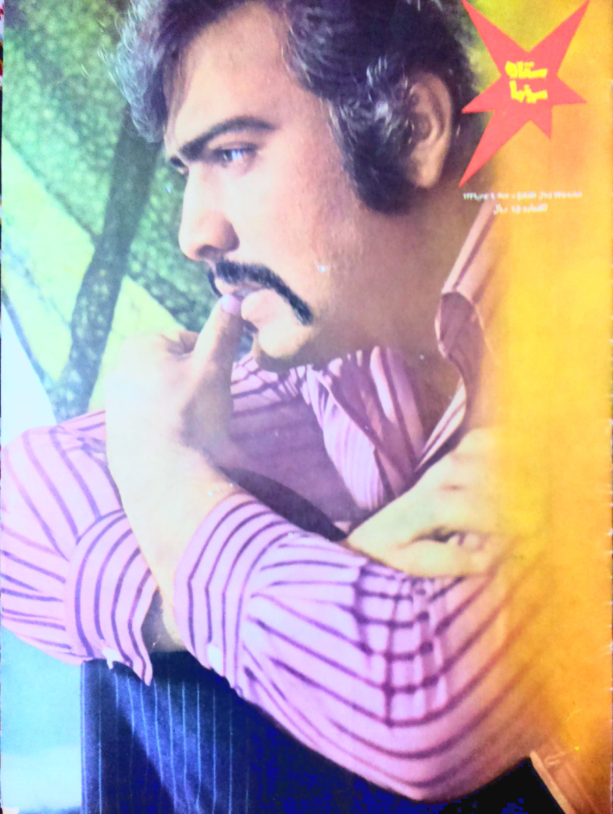 Cinema Star (January 29, 1971)