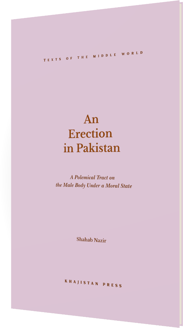 An Erection in Pakistan — 3D paperback mockup, front; Khajistan Press