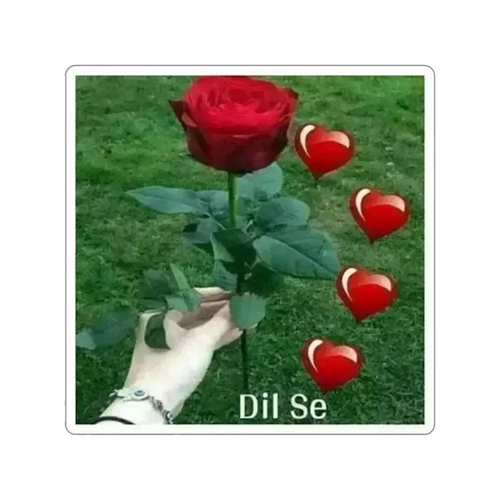 زما د زړه سټیکر څخه - 2" × 2" / سپین