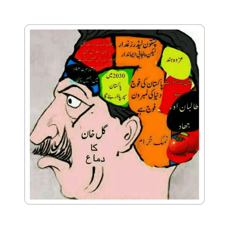 Gul Khan's Brain (Urdu) Sticker - KHAJISTAN™