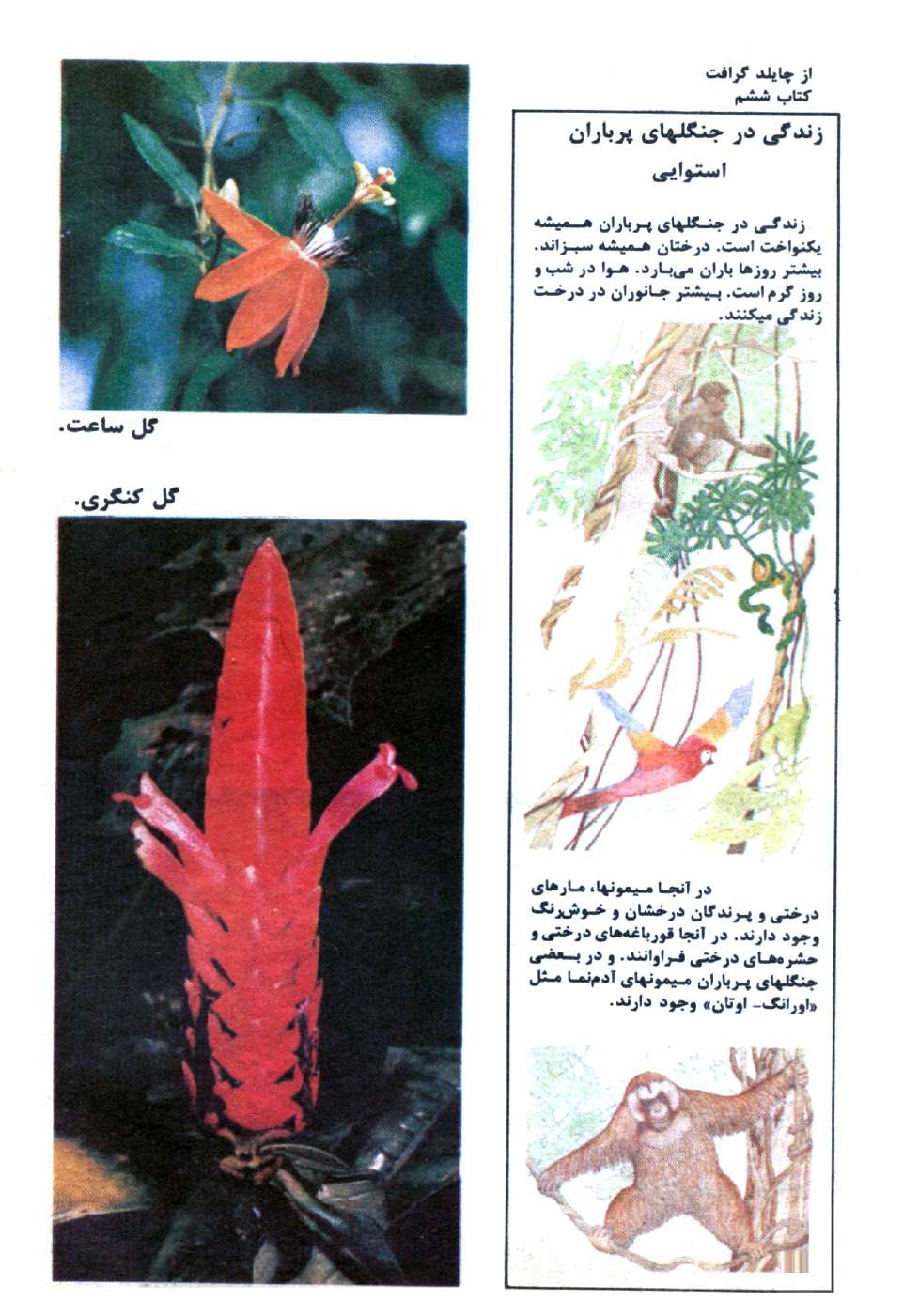 Kayhan Bacheha Magazine – Issue 1128