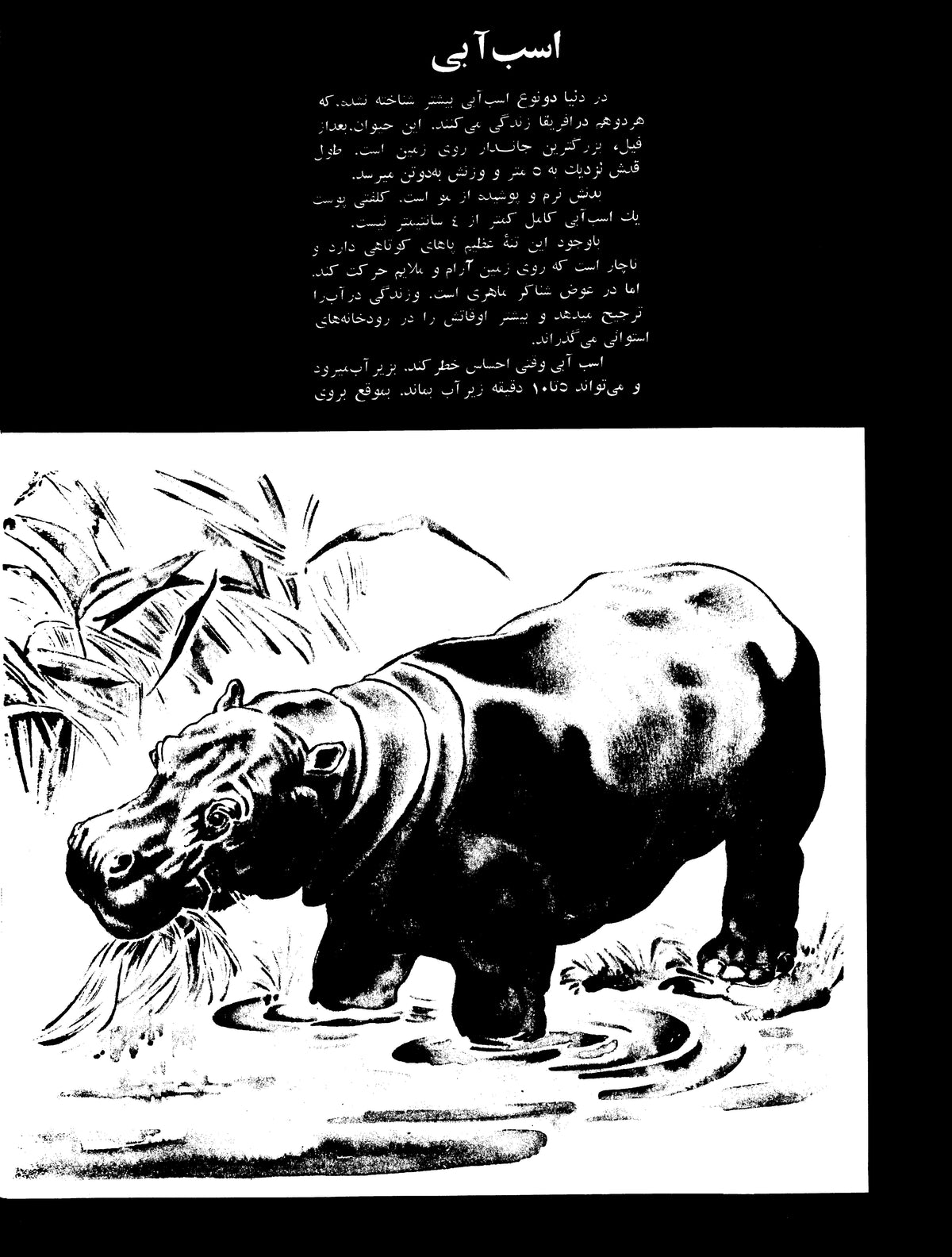 Kayhan Bacheha Magazine – Issue 786