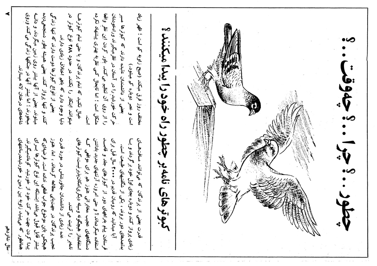 Kayhan Bacheha Magazine – Issue 817