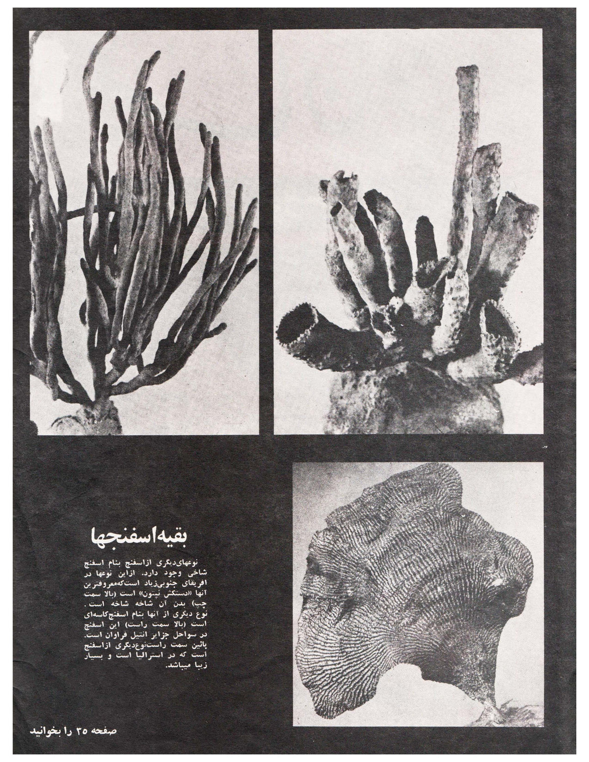 Kayhan Bacheha Magazine – Issue 827