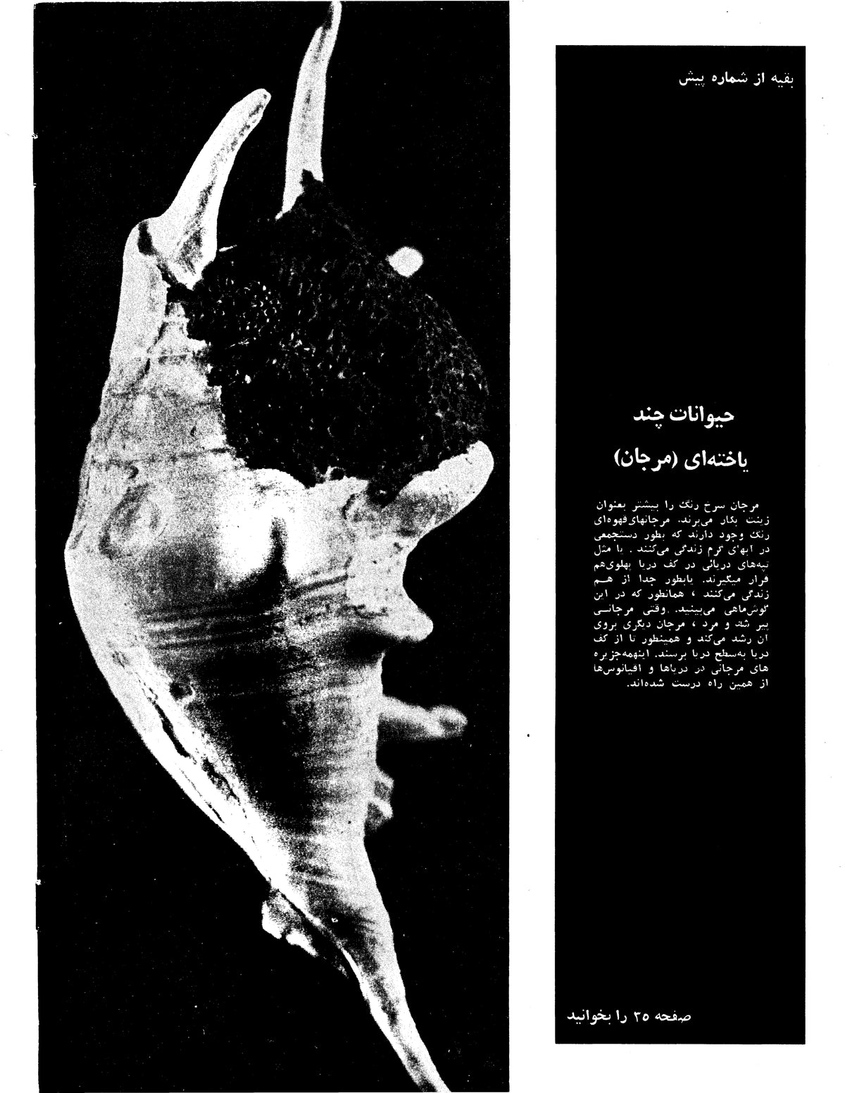 Kayhan Bacheha Magazine – Issue 831