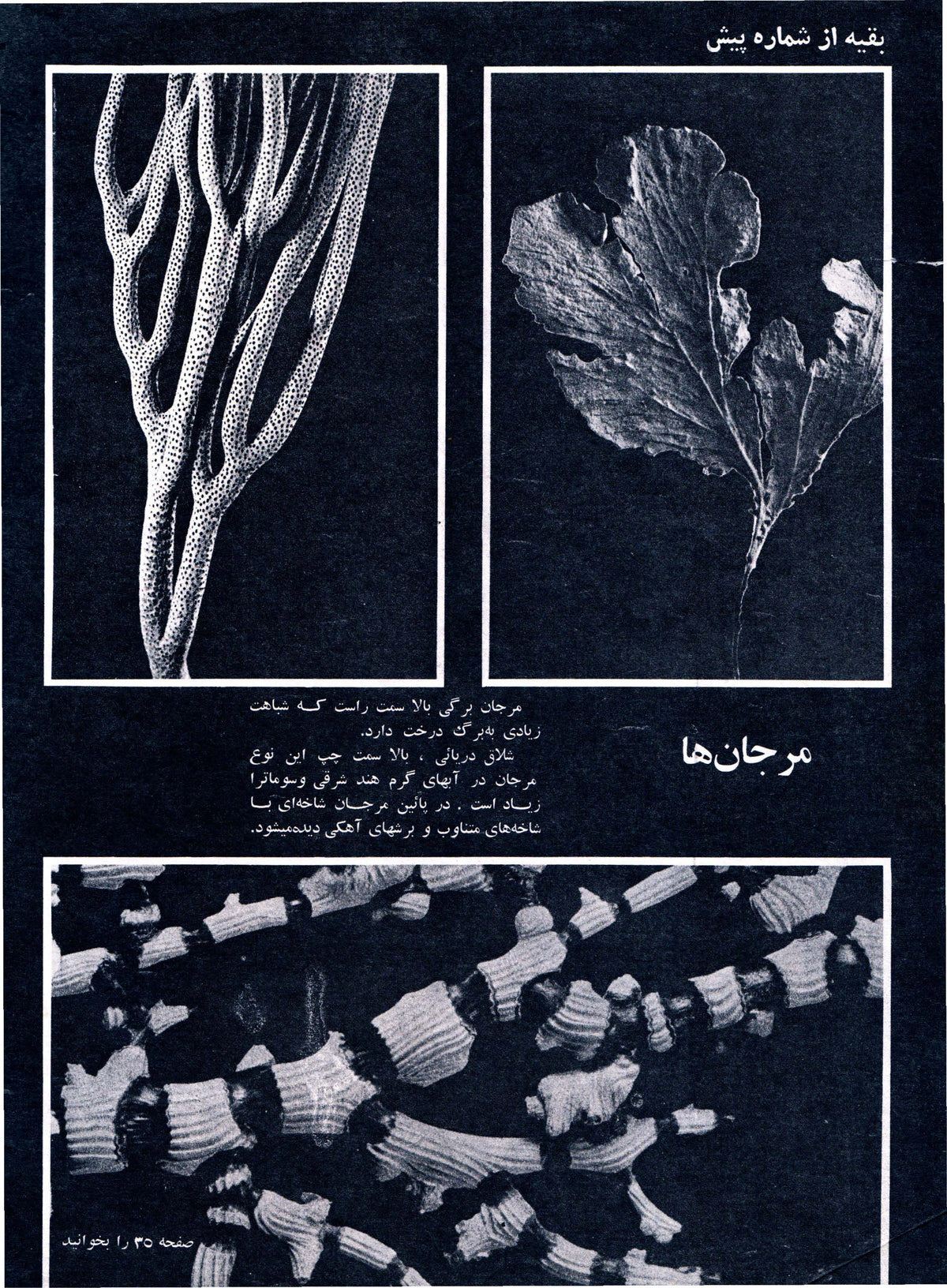 Kayhan Bacheha Magazine – Issue 832