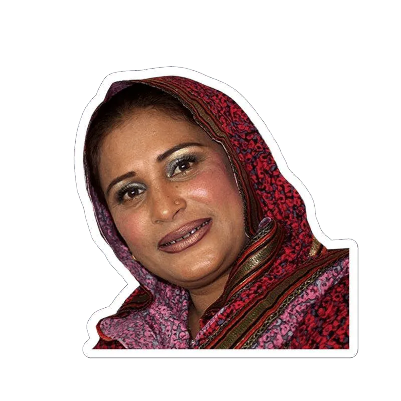 Madam Naseebo Sticker - KHAJISTAN™