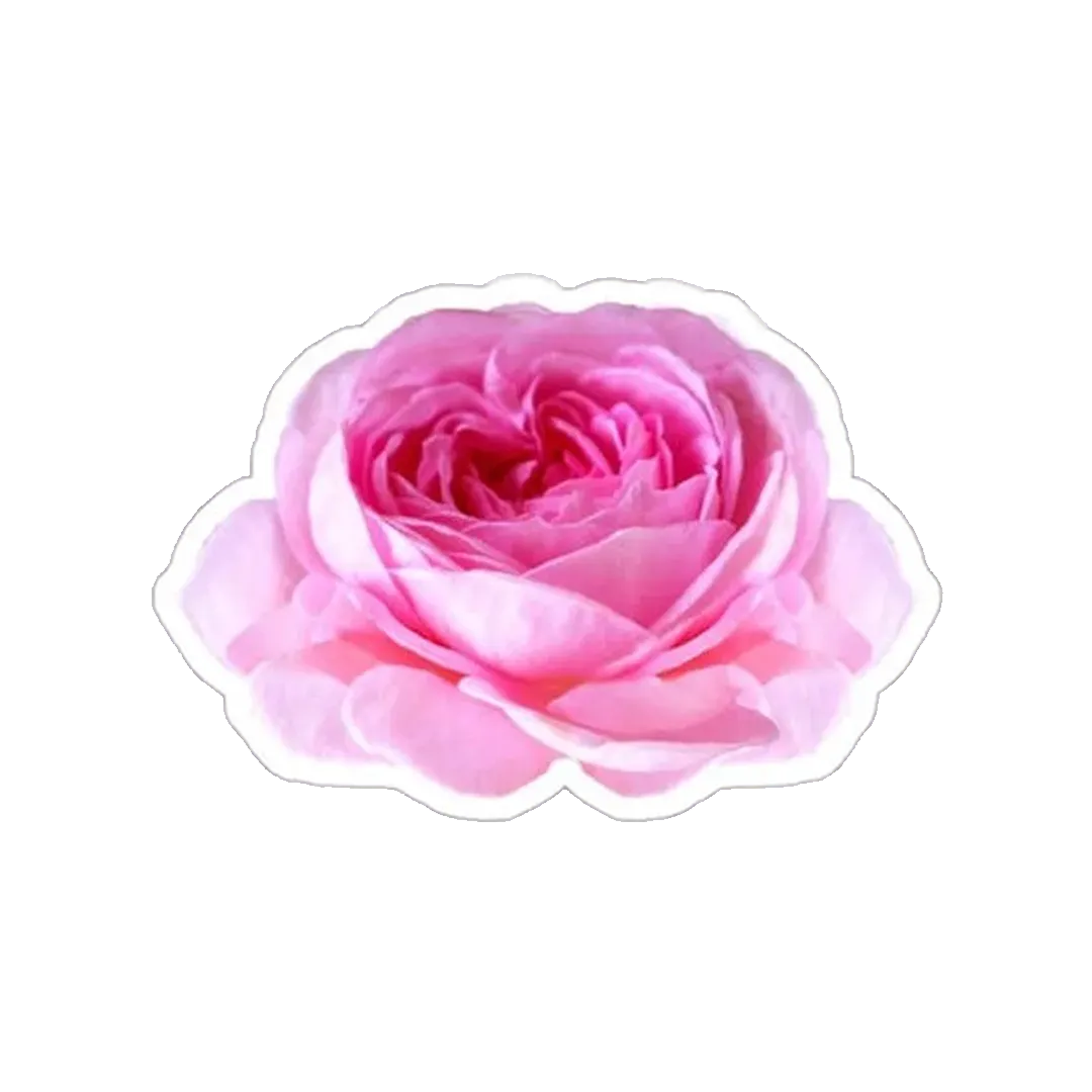 Pink Flower Sticker - KHAJISTAN™