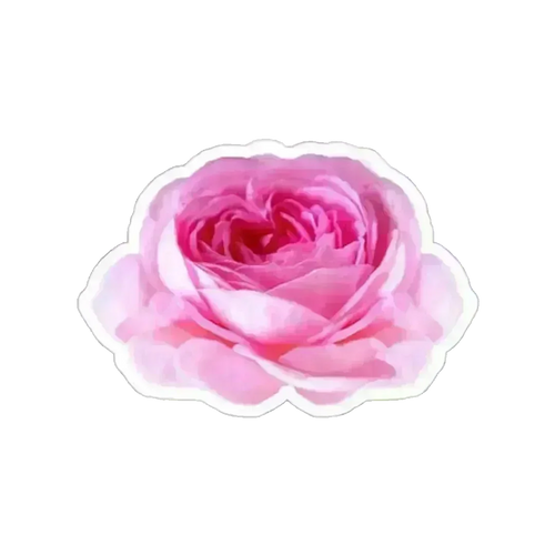 Pegatina de Flor Rosa - 2" × 2" / Blanco