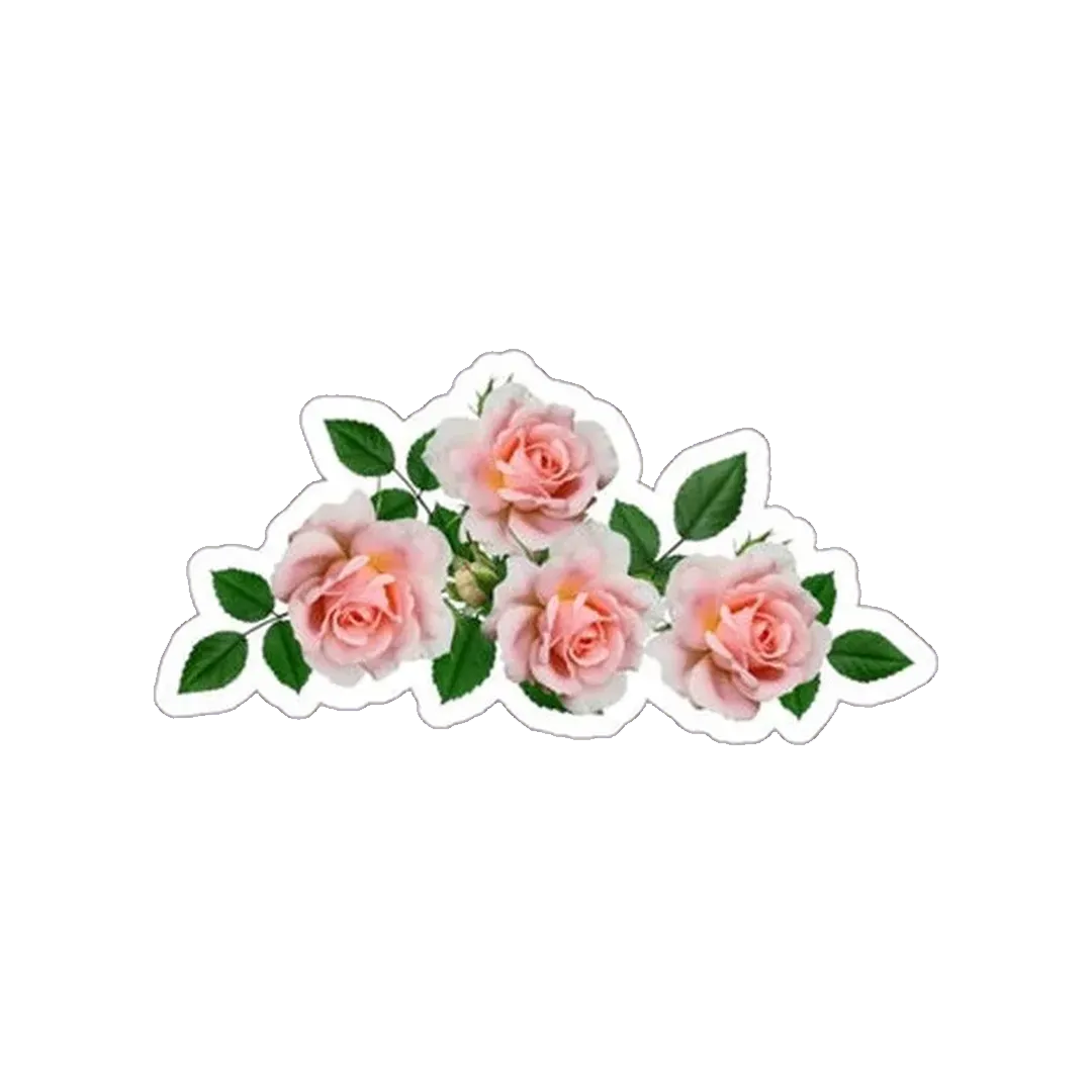 Pink Roses Sticker - KHAJISTAN™