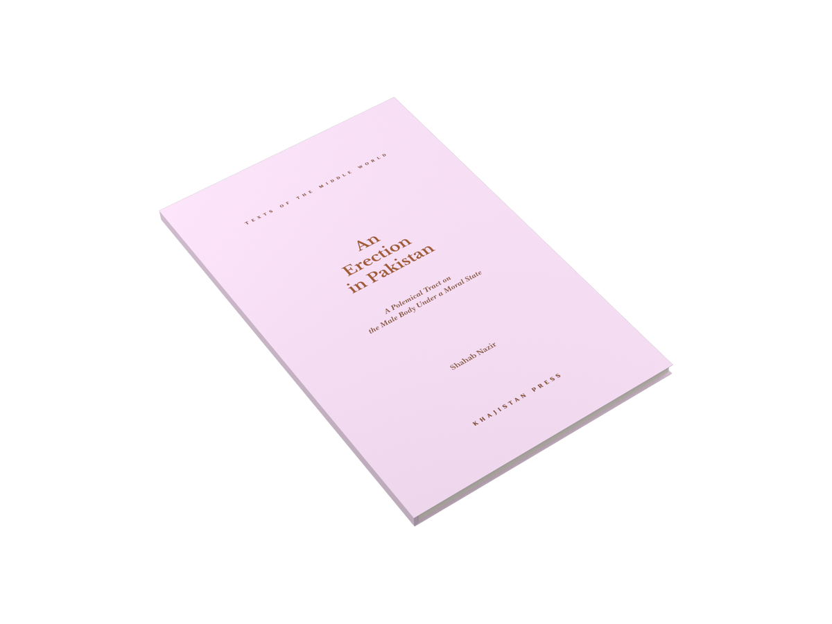 An Erection in Pakistan — Khajistan Press paperback, 3D model
