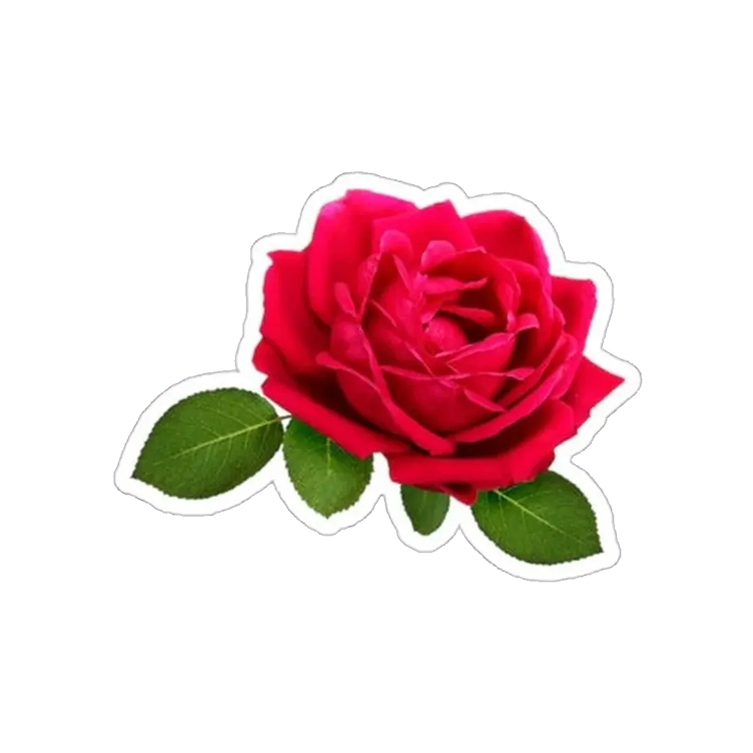 Red Rose Sticker - KHAJISTAN™